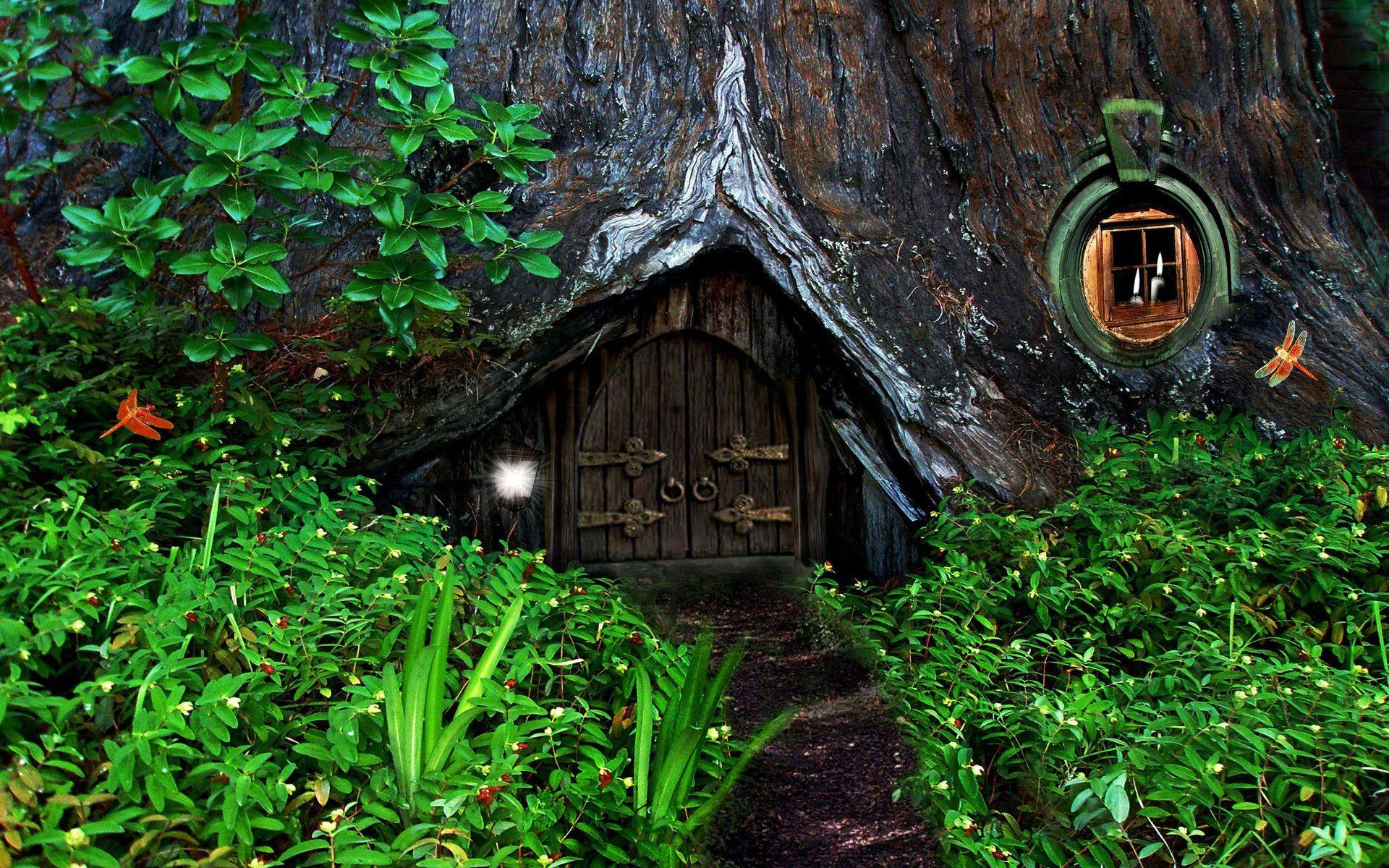 1920x1200 Forest Wallpaper For Home
