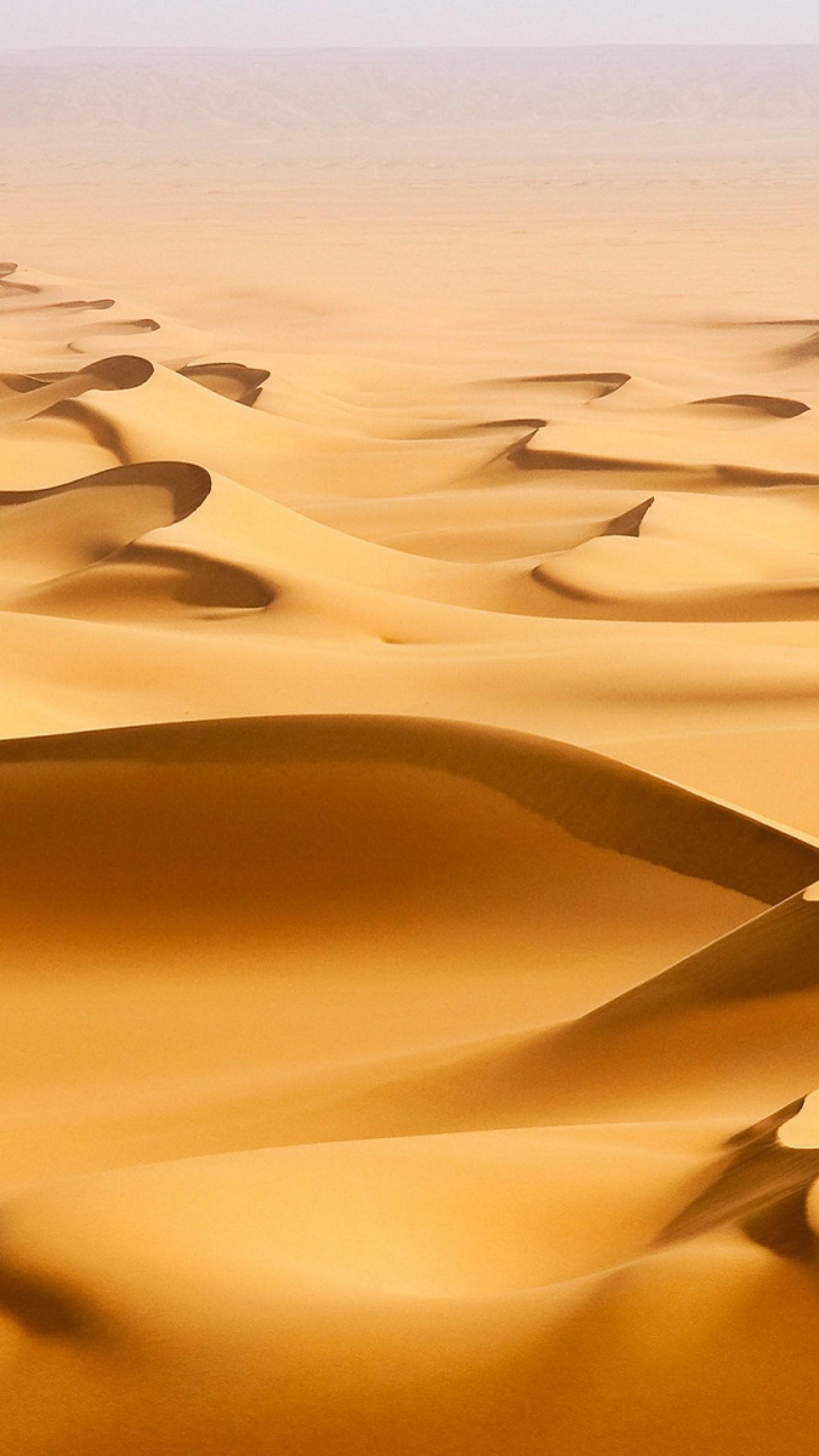 1440x2560 Sand Forest Desert HD Wallpaper For iPhone