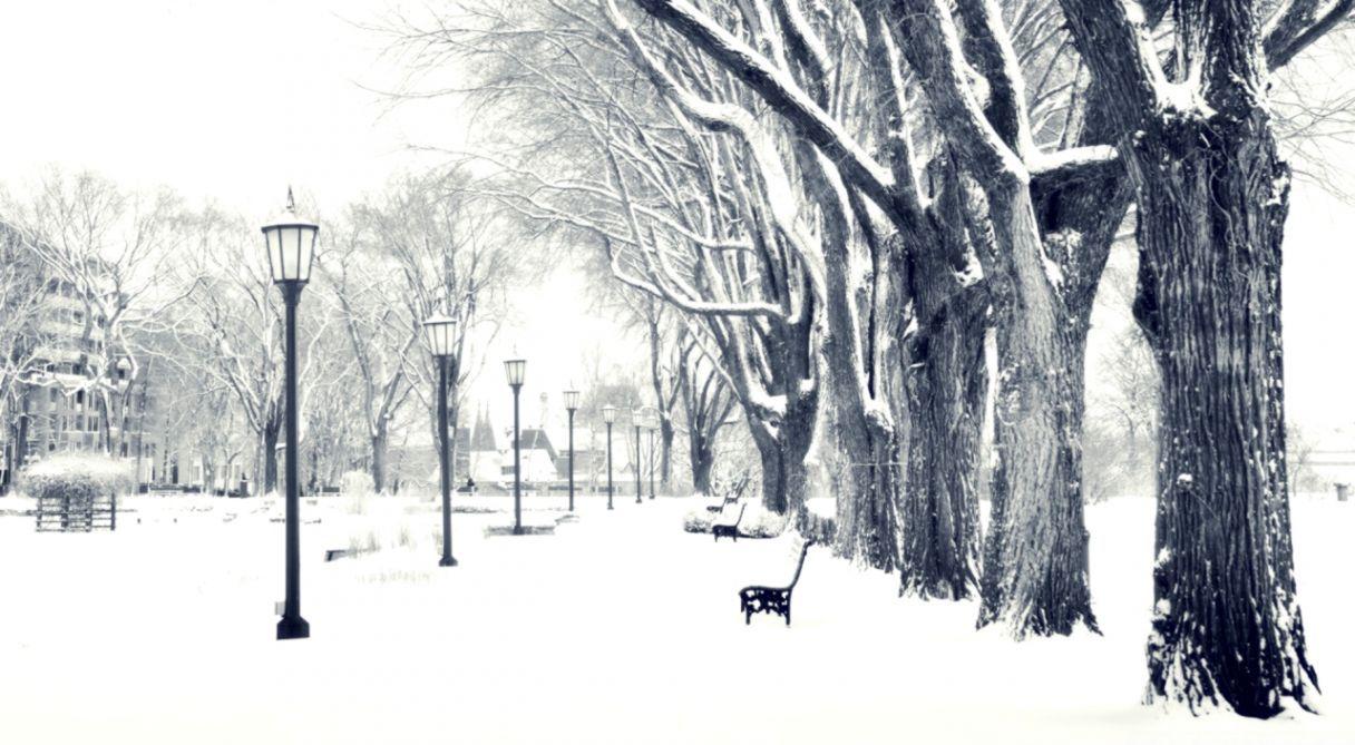 1216x669 Snowy Wallpaper