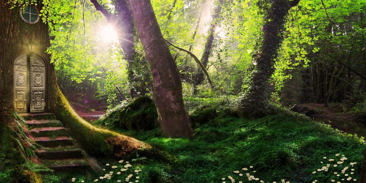 1440x720 Magical forest wallpaper