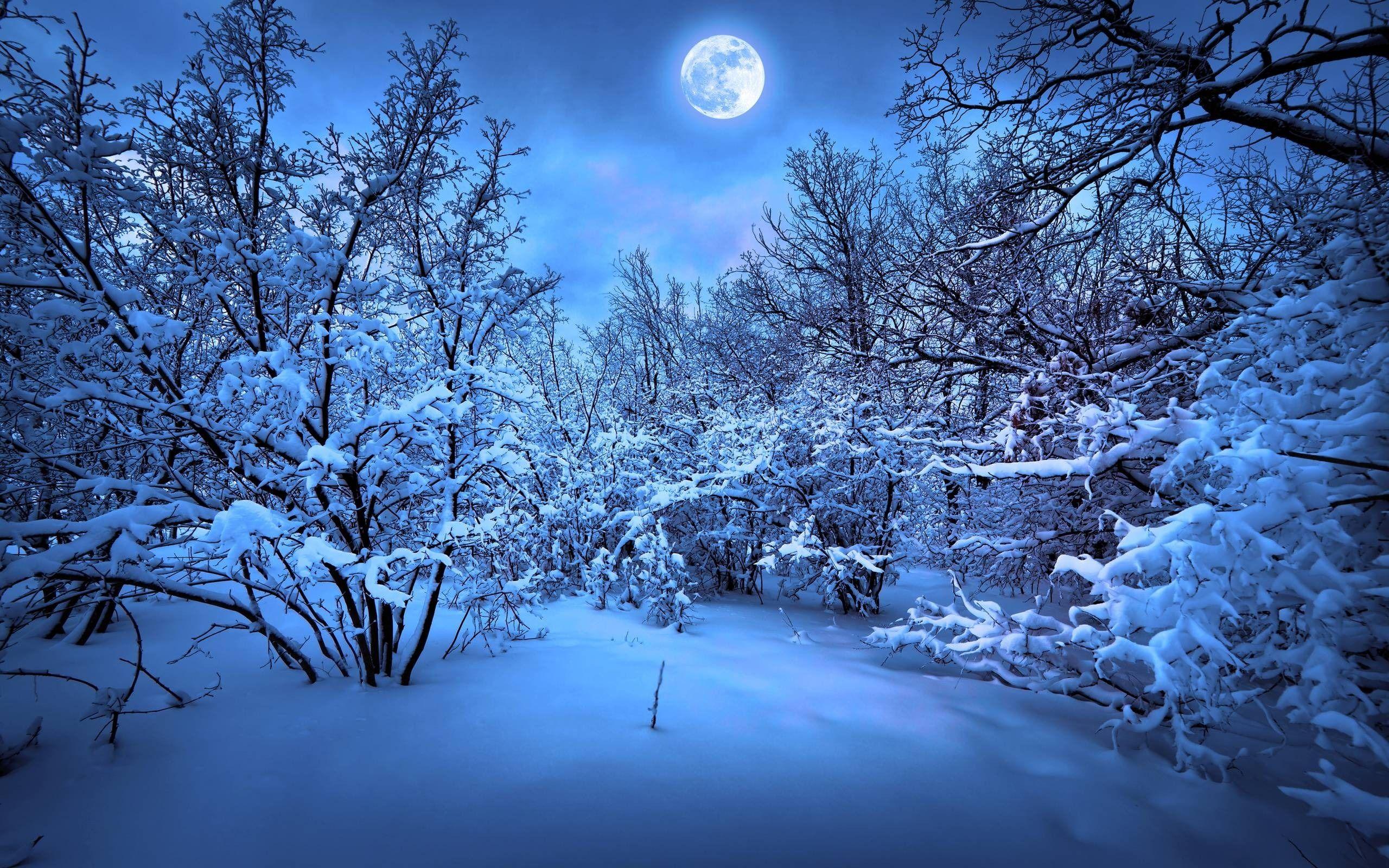 2560x1600 Christmas Snow Background Wallpaper
