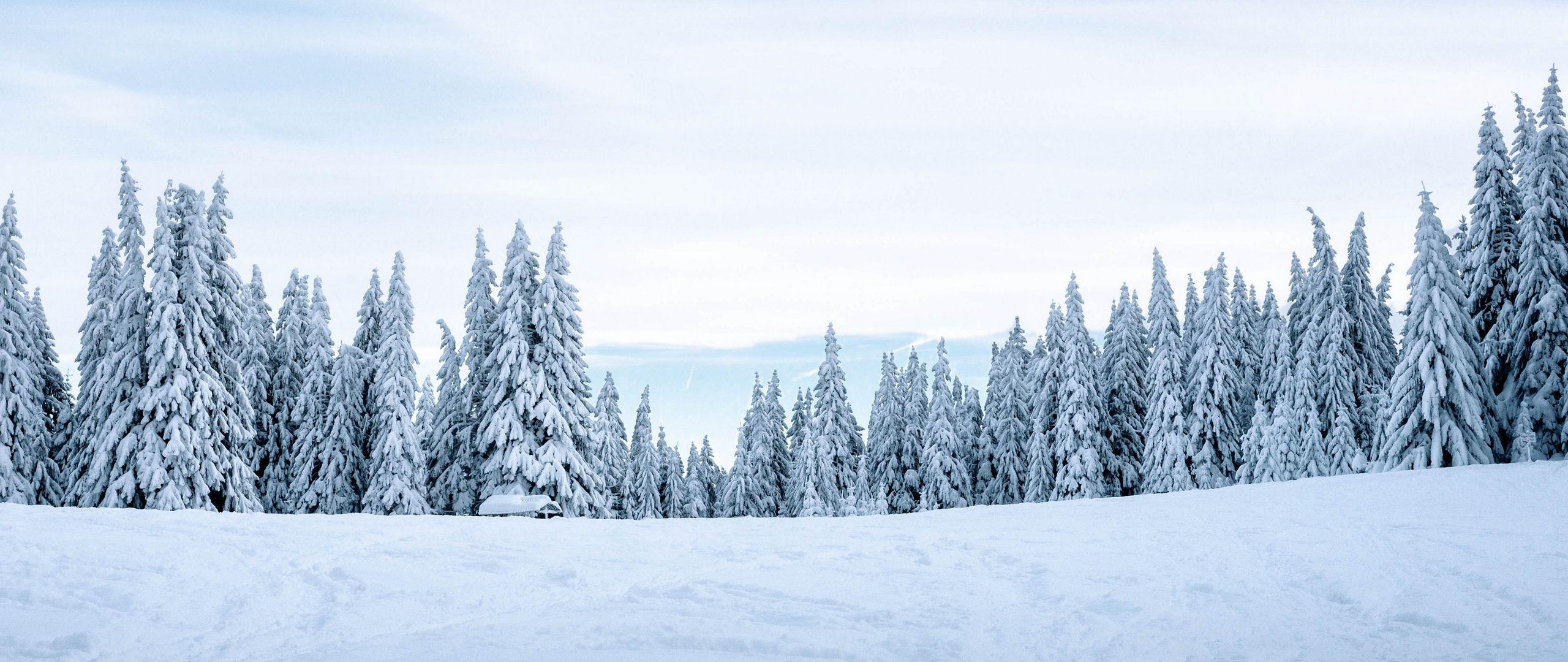 2560x1080 Download wallpaper 2560x1080 snow, winter, trees, winter
