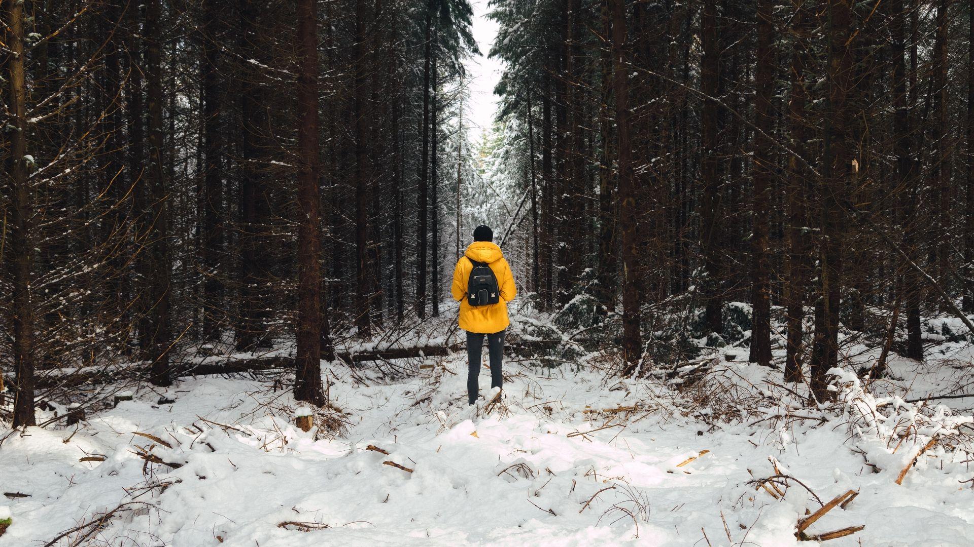 1920x1080 Download wallpaper 1920x1080 man, forest, snow, winter