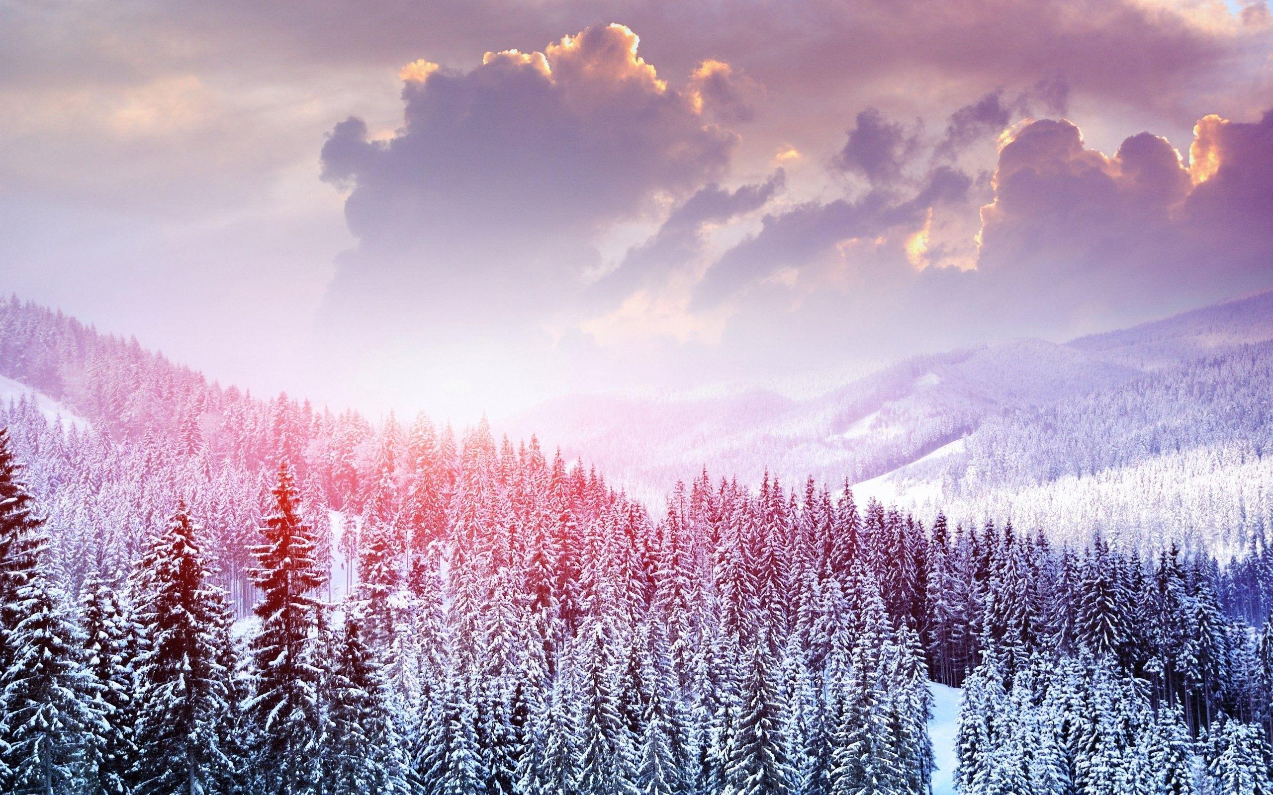 2560x1600 Stock Image, Full HD, landscape, Mountains, Trees, Clouds