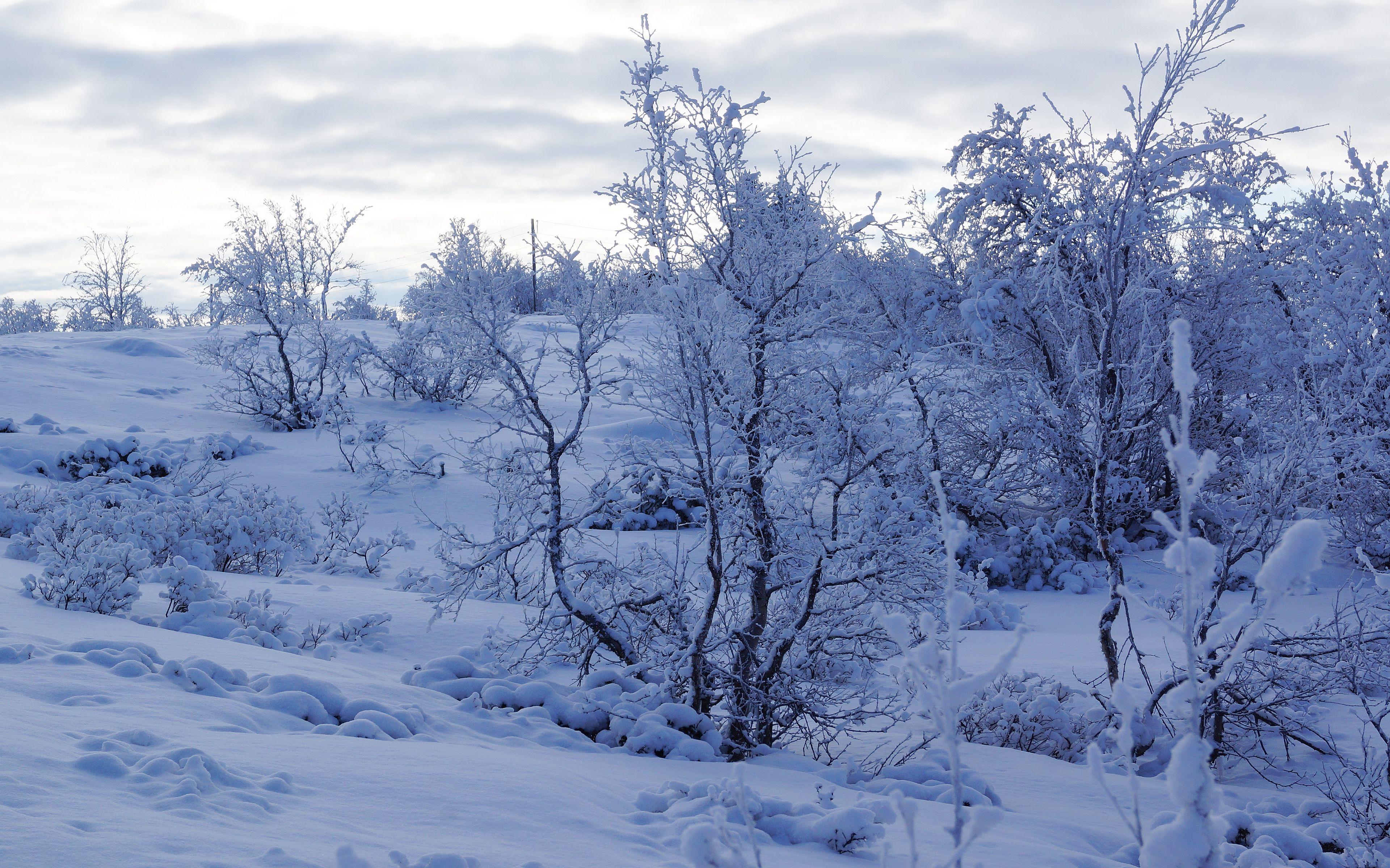 Snowy Wallpapers Top Free Snowy Backgrounds