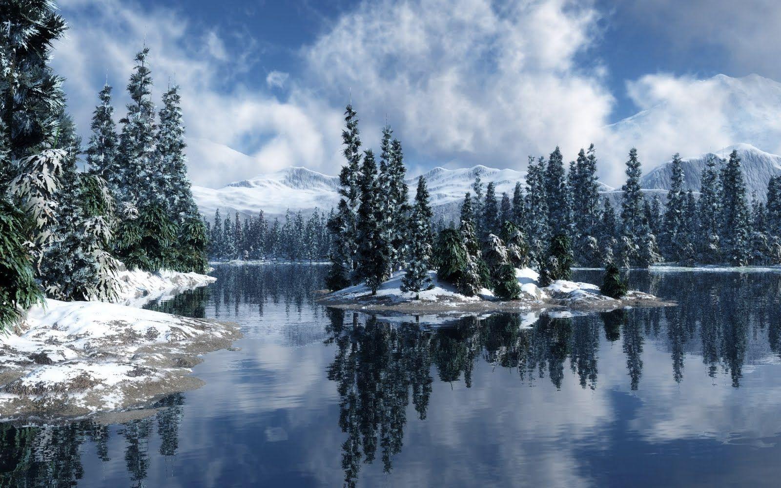 1600x1000 Great Wallpaper Everyday: Snowy Forest wallpaper