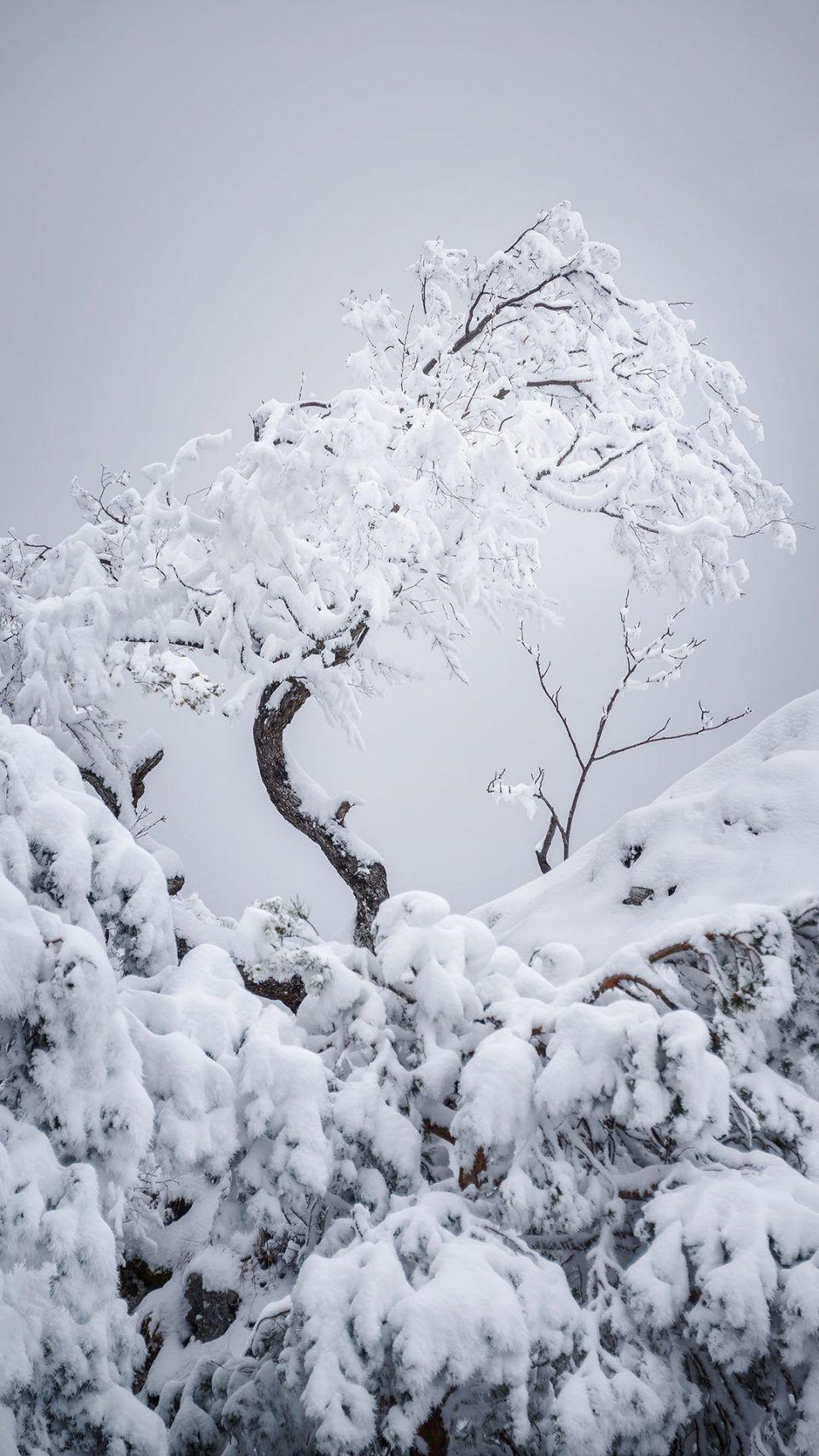 Snowy Wallpapers - Top Free Snowy Backgrounds - WallpaperAccess