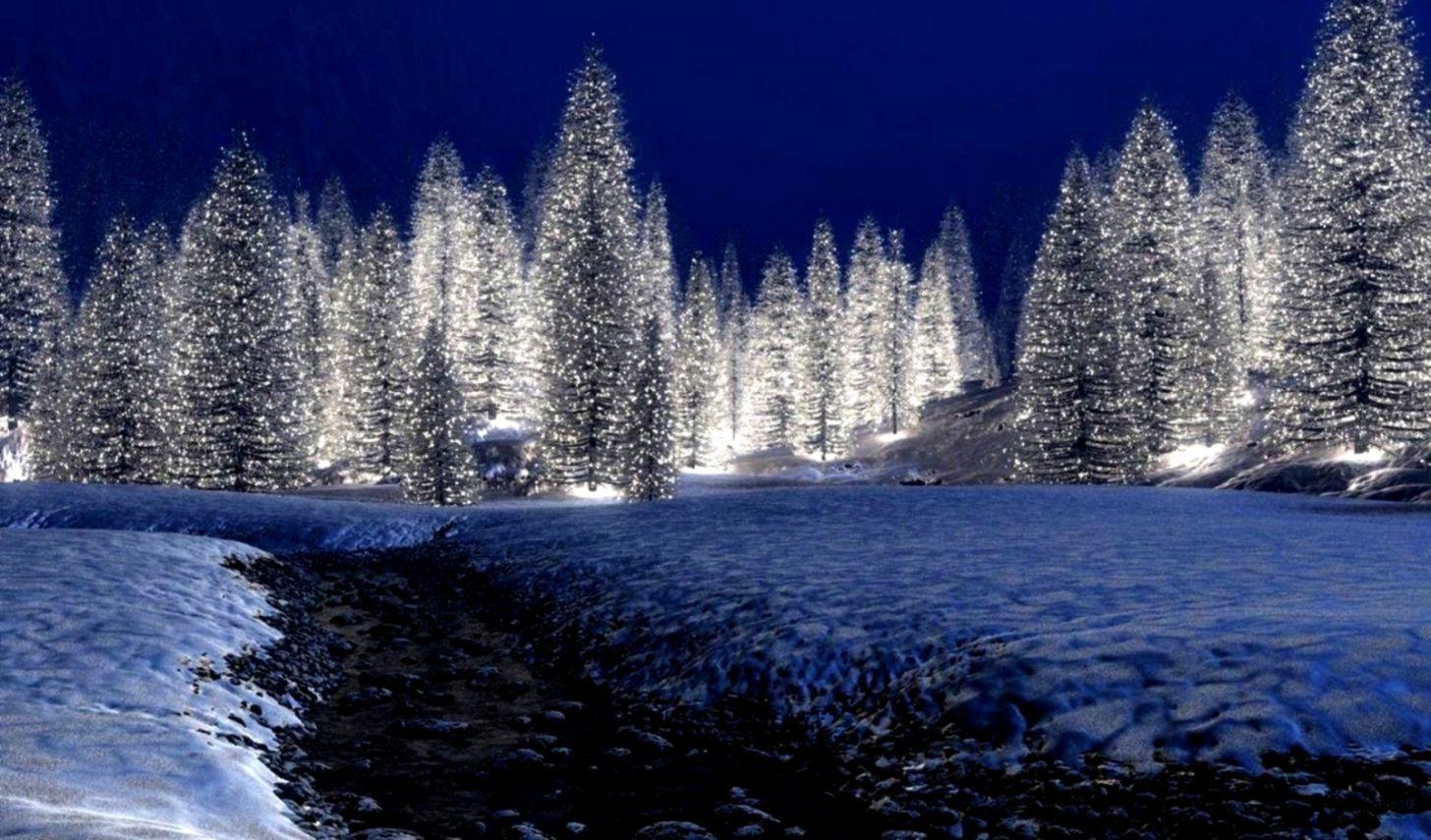 Snow Forest Night Wallpapers - Top Free Snow Forest Night Backgrounds