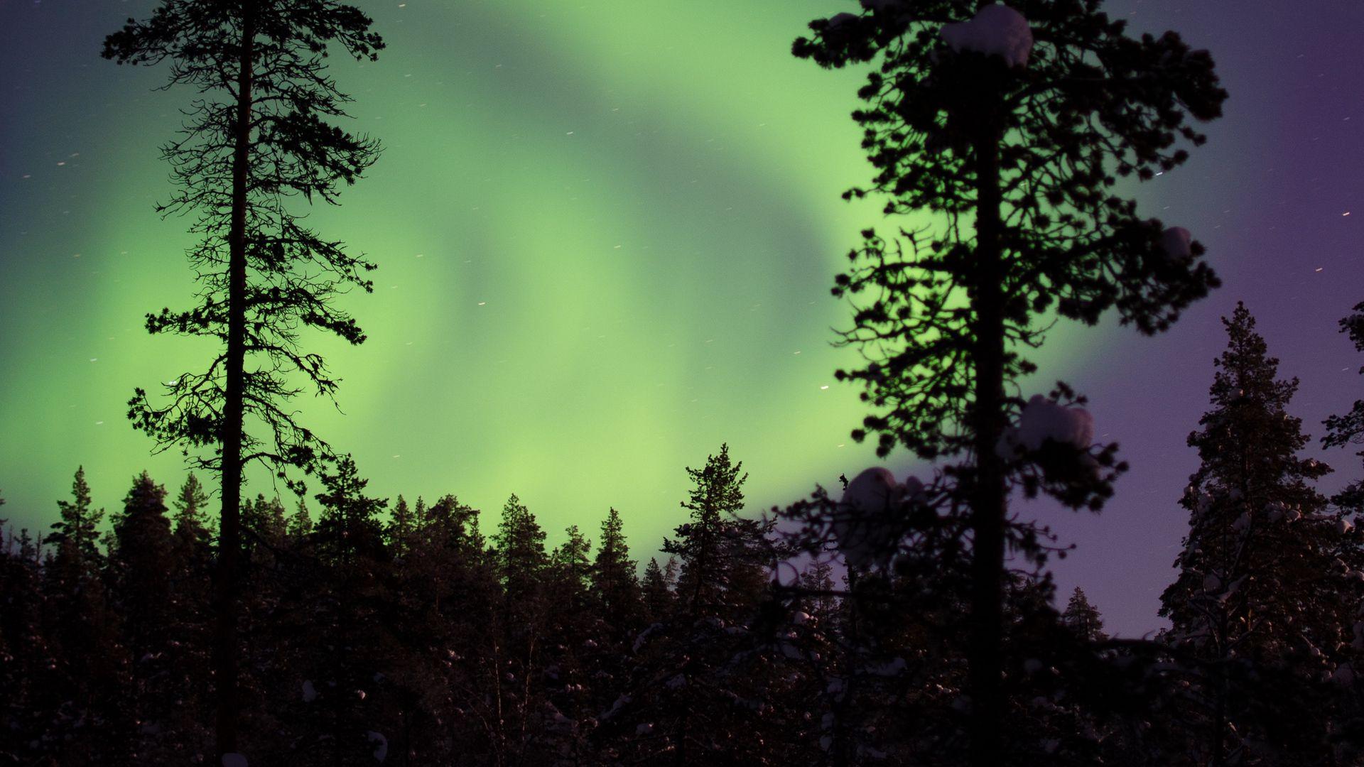 1920x1080 Download wallpaper 1920x1080 northern lights, aurora, trees