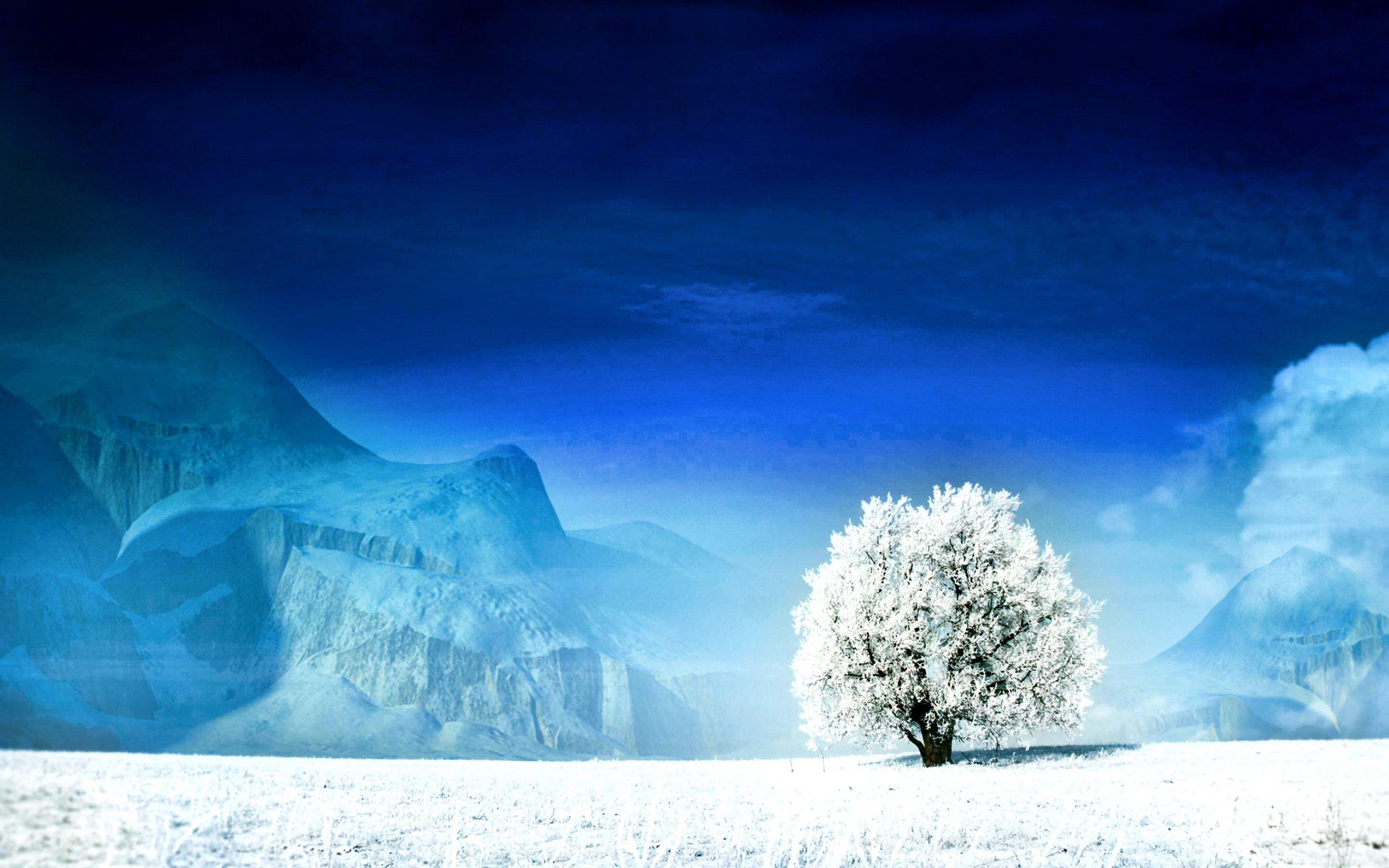 White Tree Snow Wallpapers - Top Free White Tree Snow Backgrounds