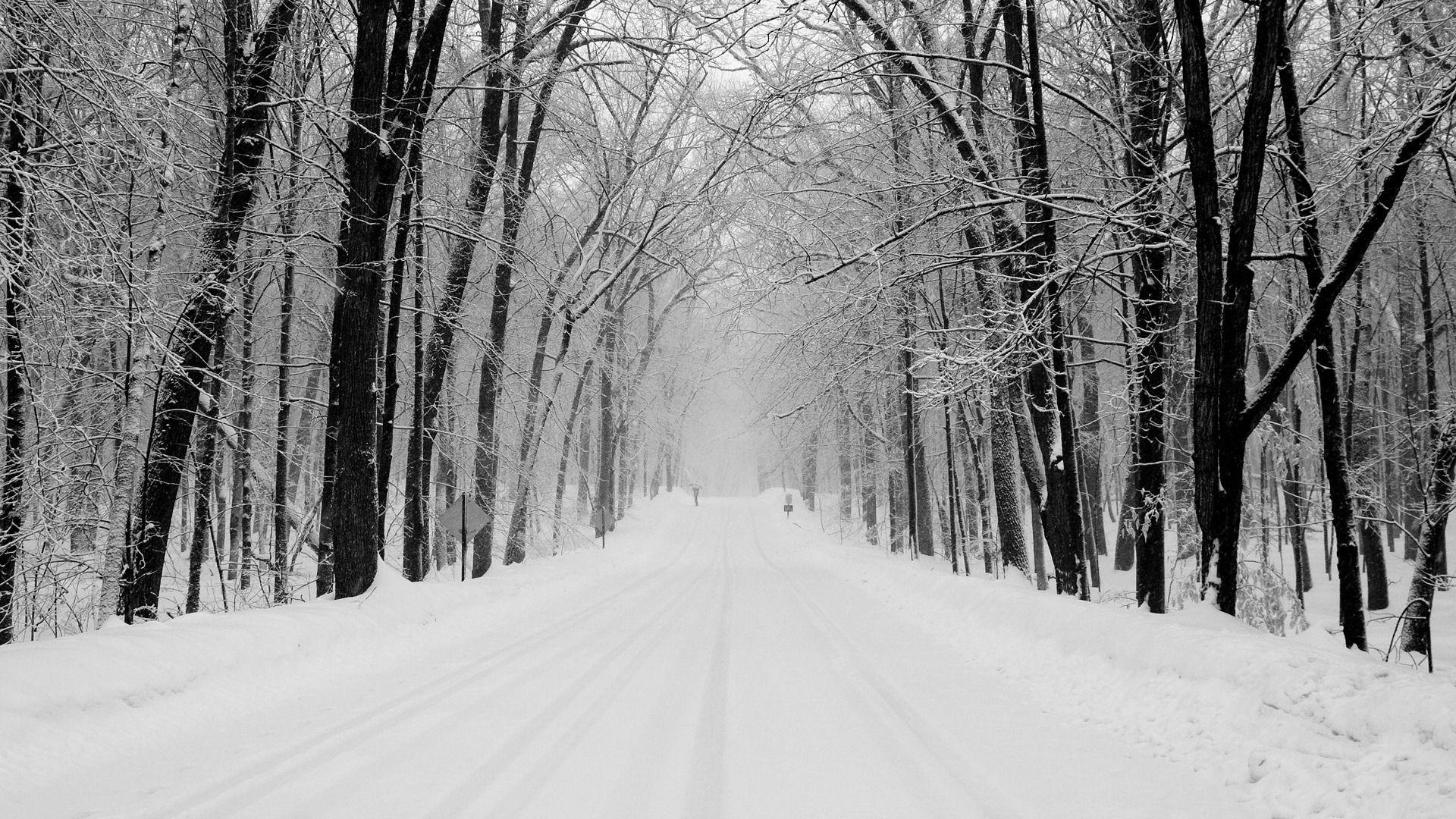 1920x1080 Snowy Road Wallpaper Winter Nature Wallpaper in jpg format