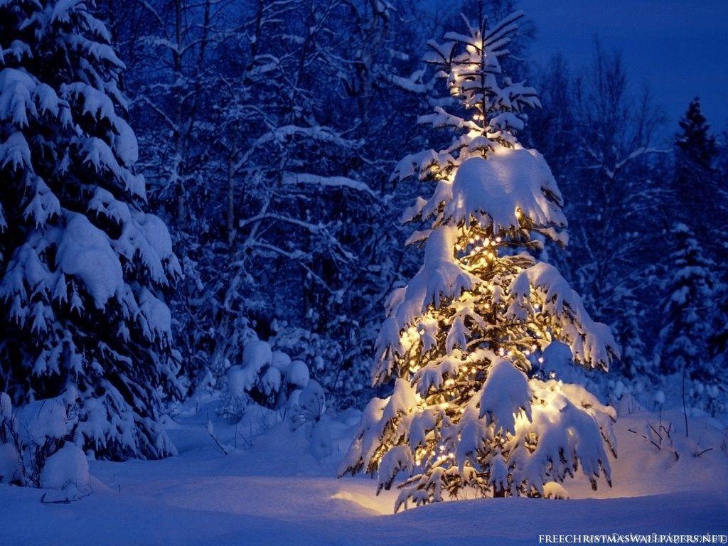 1024x768 Christmas Snow Computer Wallpaper 192 HD Wallpaper Site