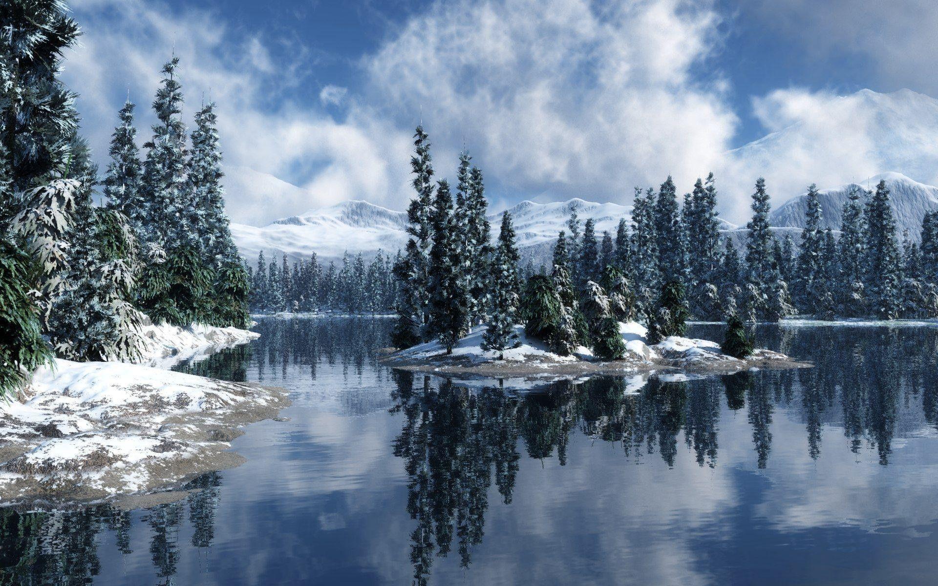 1920x1200 Snowy Forest Wallpaper