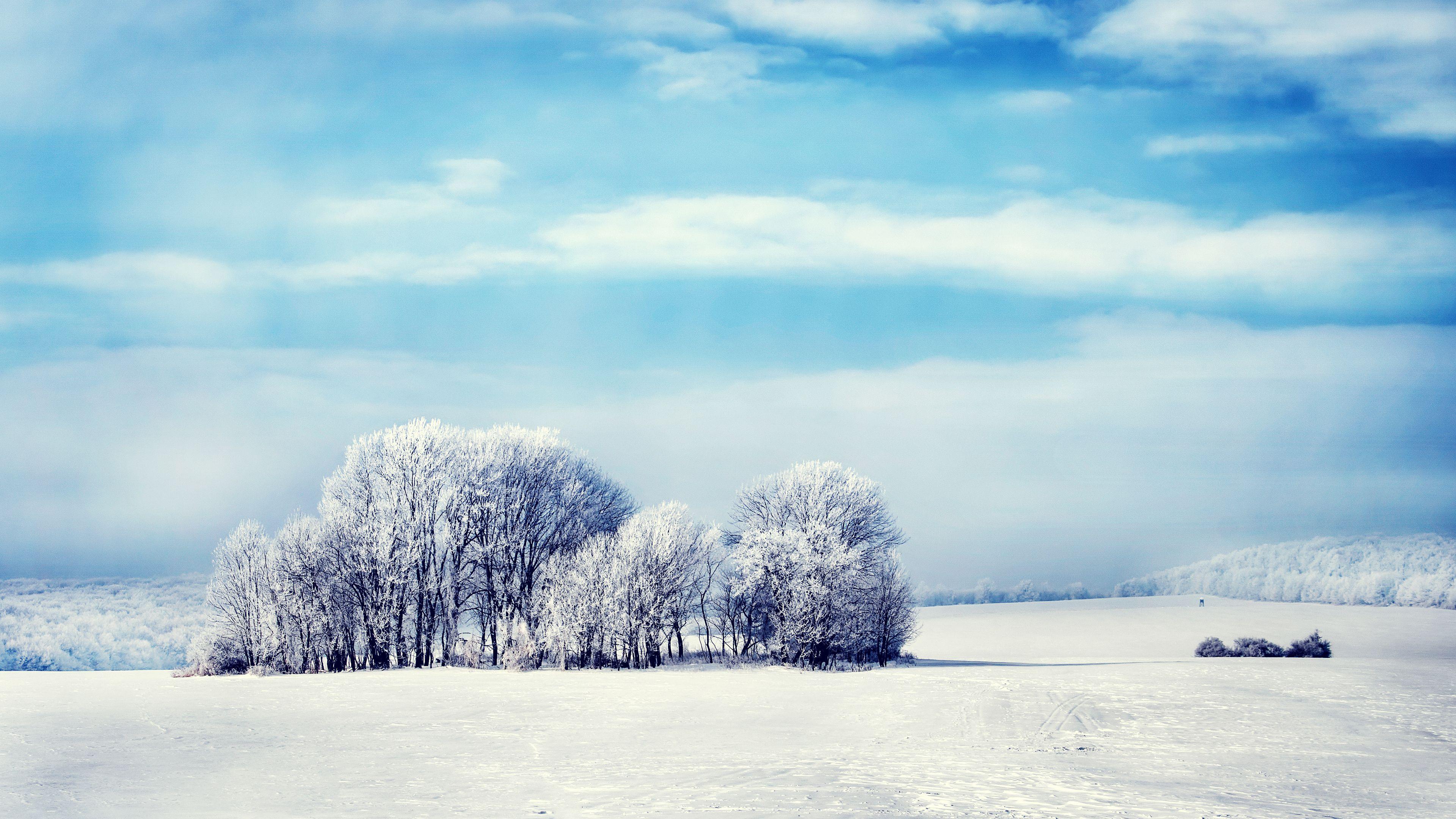 3840x2160 Snowy Forest 4K Wallpaper, HD Nature 4K Wallpaper, Image