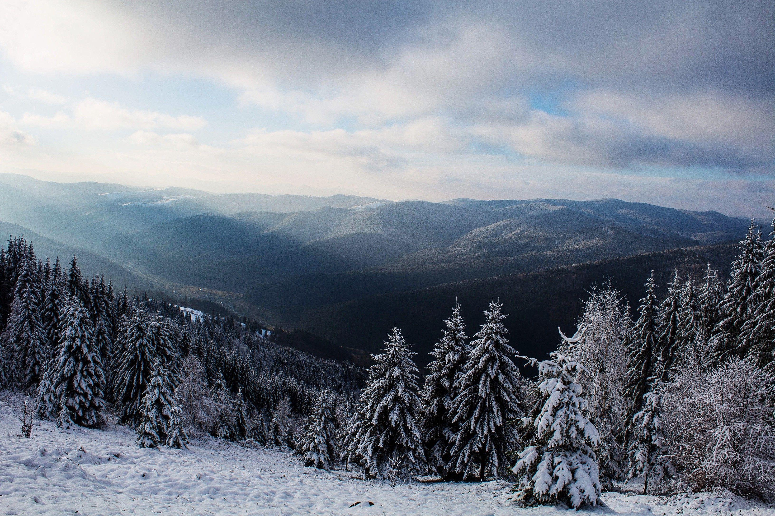 3264x2176 nature, Landscape, Sun Rays, Winter, Snow, Trees, Pine Trees
