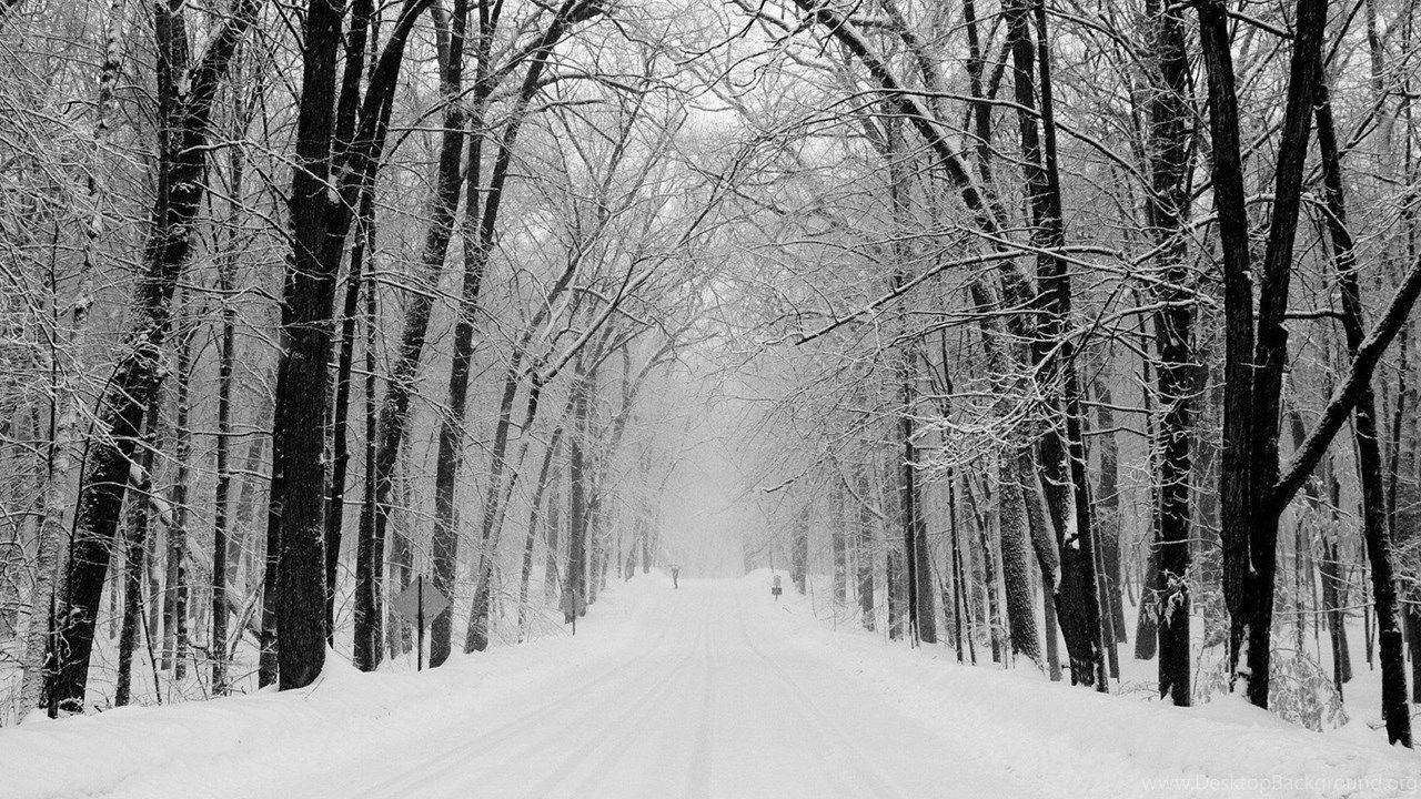 1280x720 Snow Forest Wallpaper E7O6T HD Wallpaper Desktop