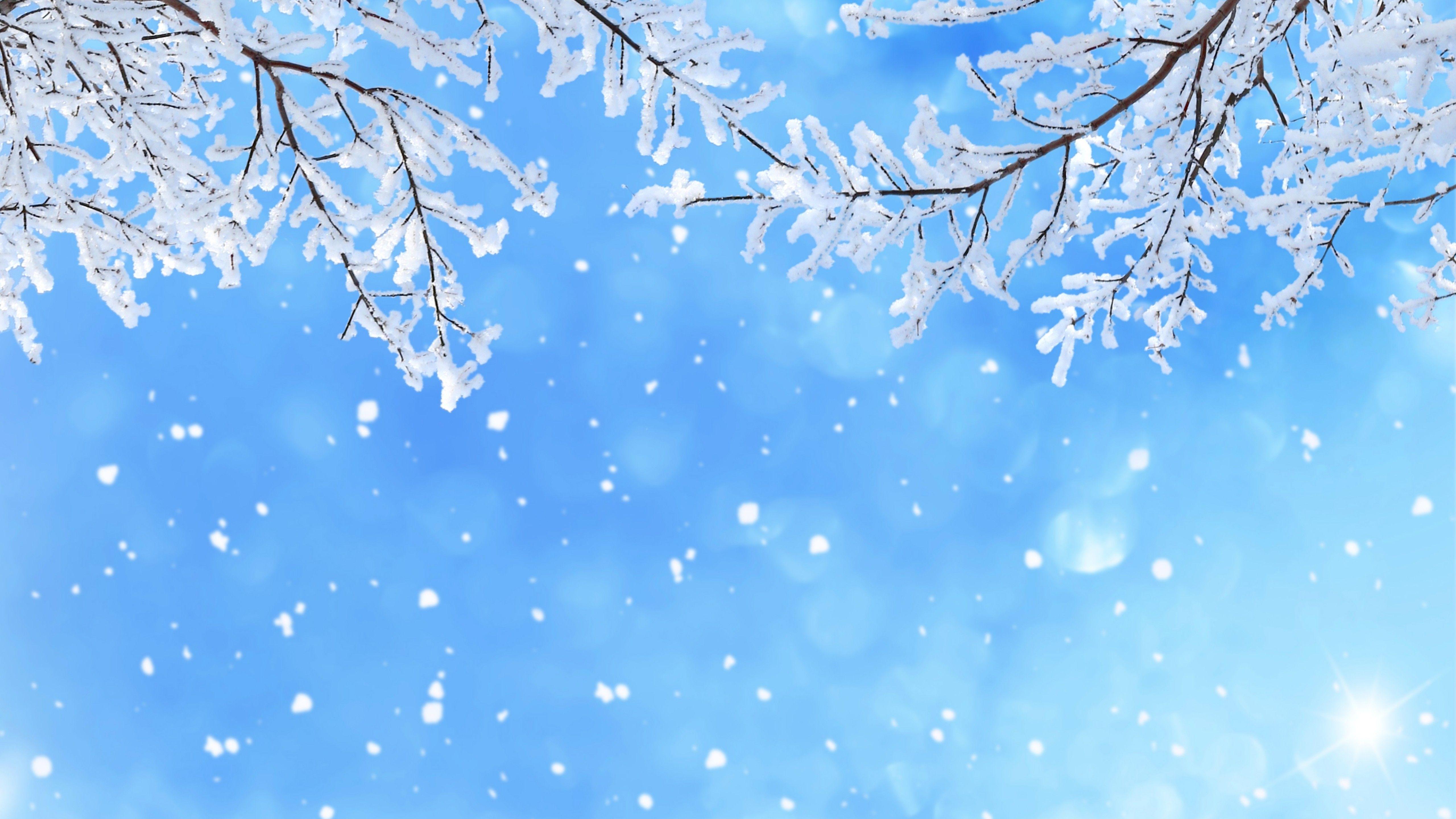 Blue Snow Wallpapers  Wallpaper Cave
