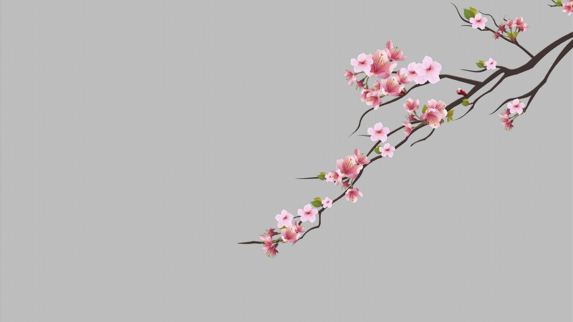 1920x1080 HD wallpaper: cherry trees, cherry