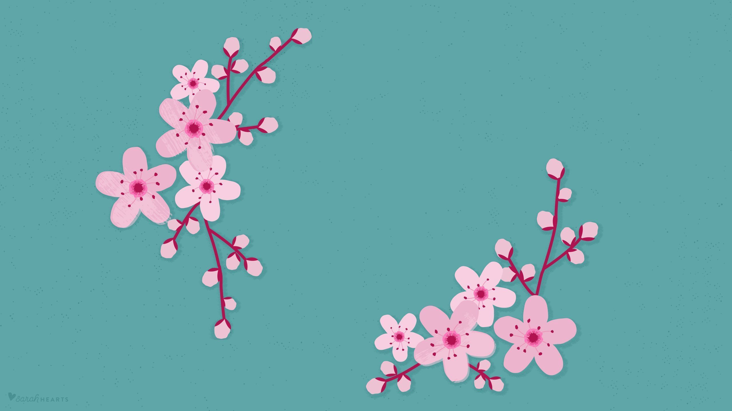 Minimalist Cherry Blossom Wallpapers Top Free Minimalist Cherry