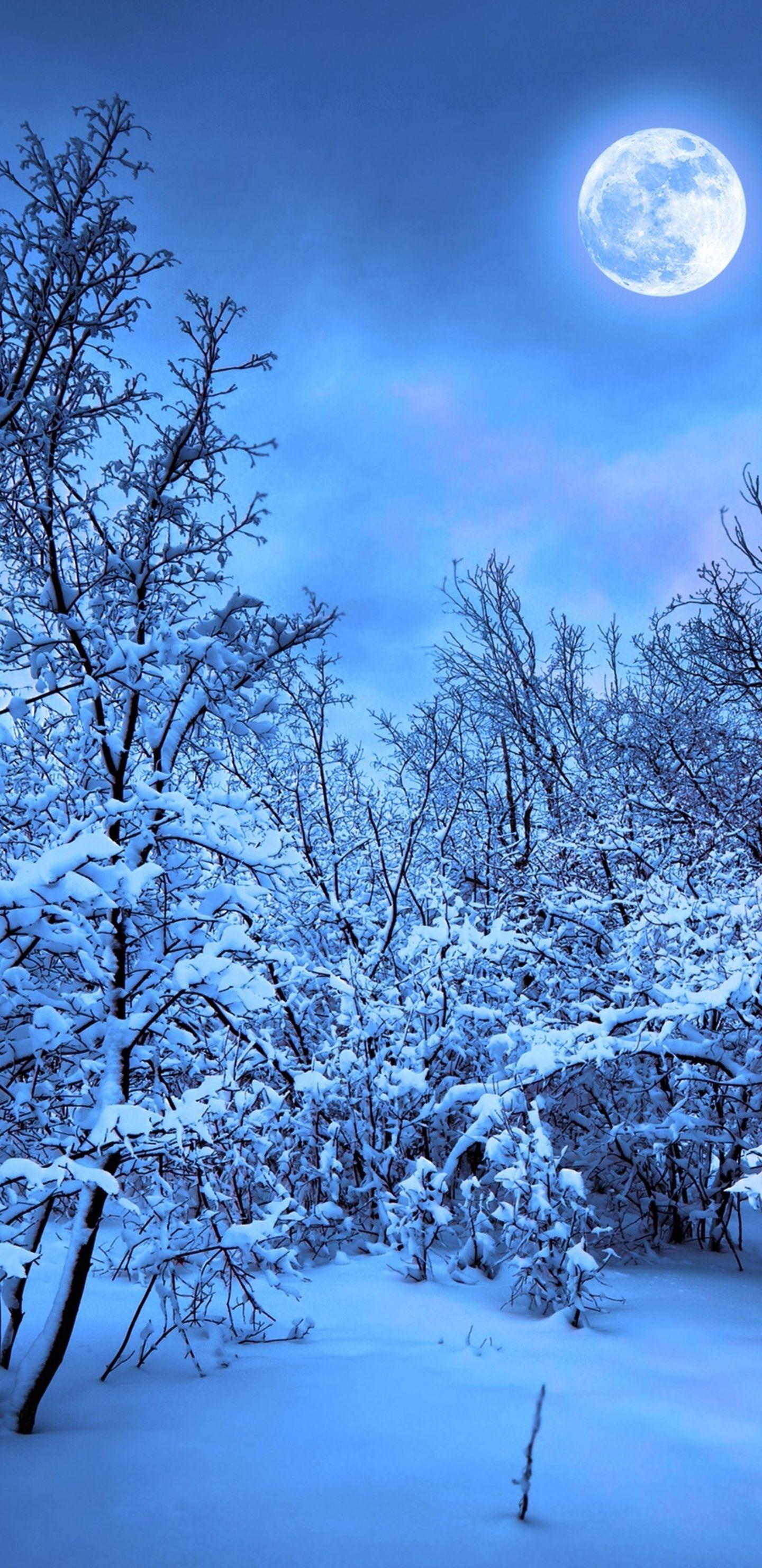 1440x2960 Winter Snow Nature 4k Samsung Galaxy Note S9