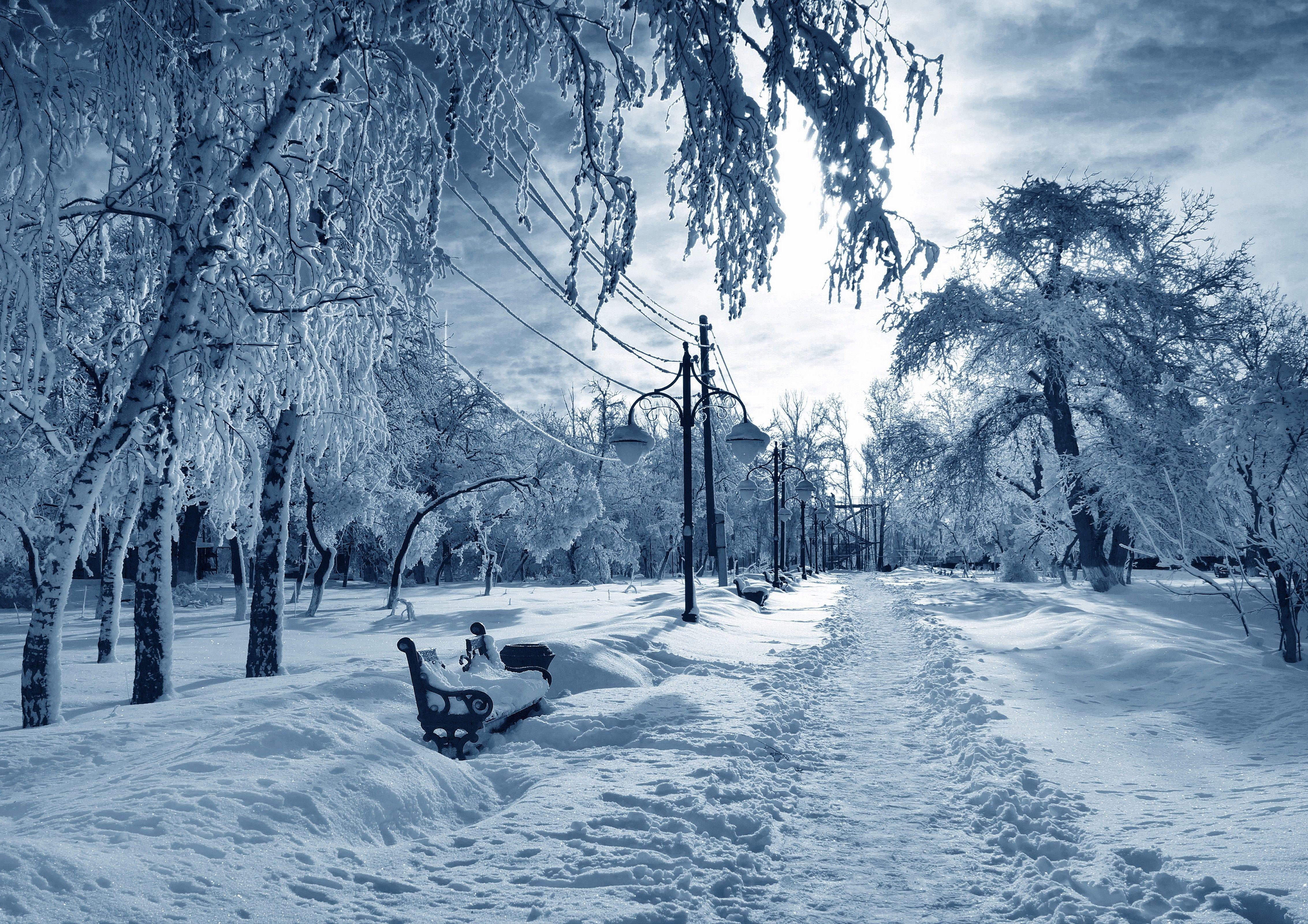 4530x3201 Fresh, Nature Background, Nature, Landscape, Landscape