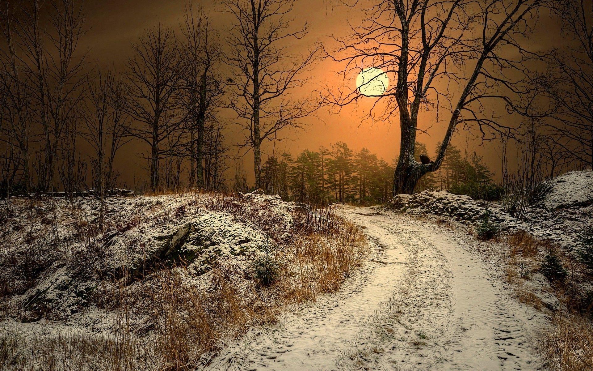 1920x1200 winter sun norway dirt road trees nature landscape