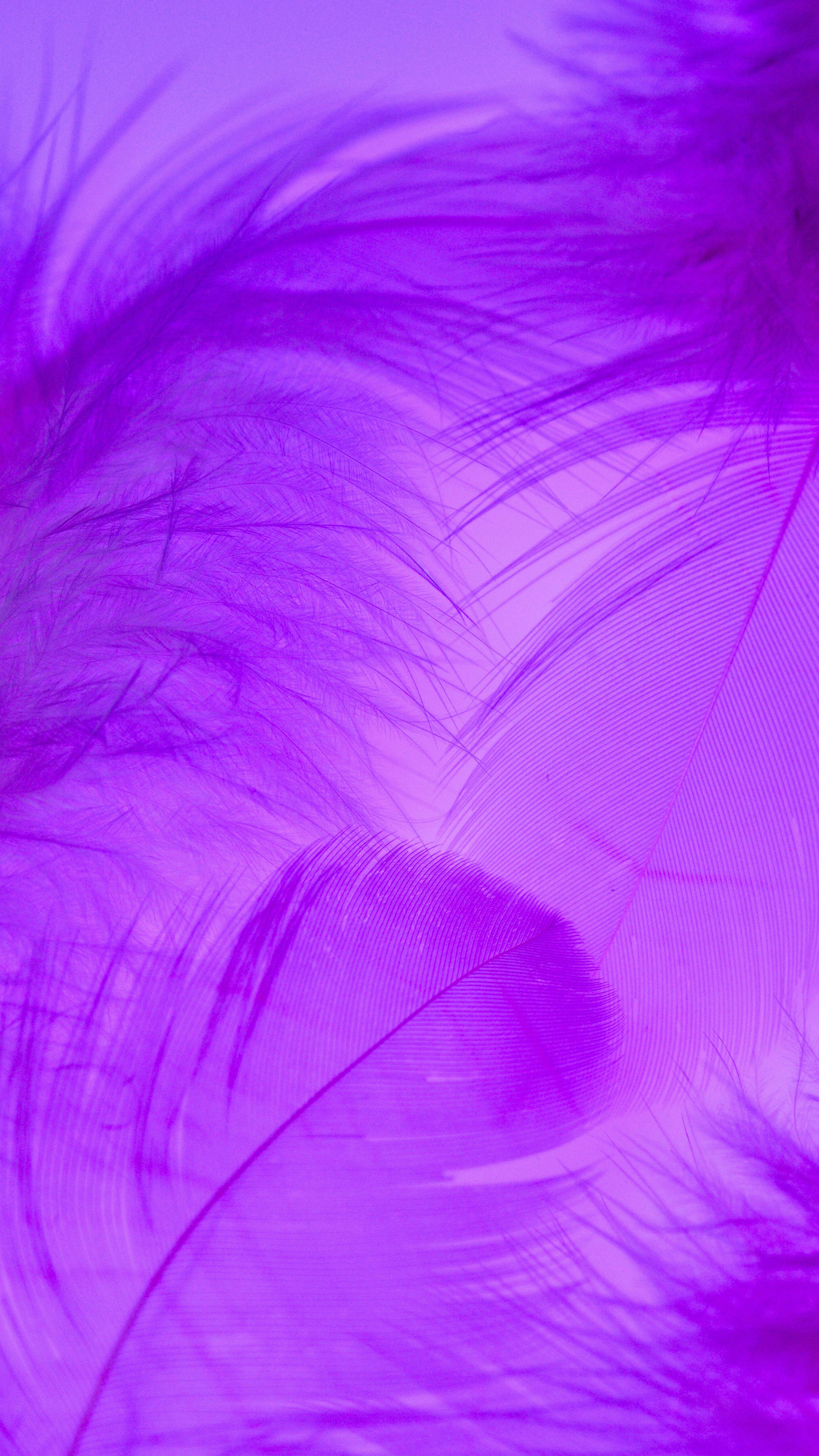 3456x6144 Light Purple Wallpaper Photo, Download The BEST Free Light Purple Wallpaper & HD Image