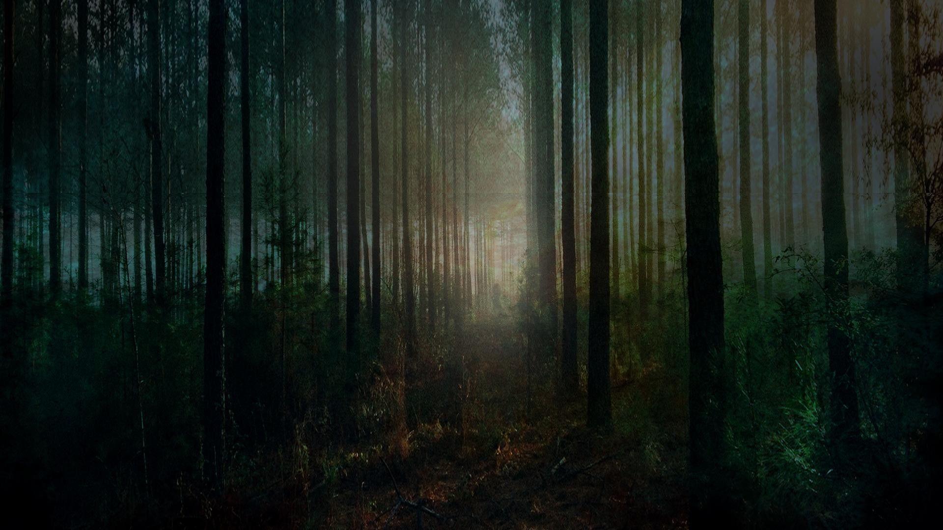 1920x1080 Spooky Forest hình nền