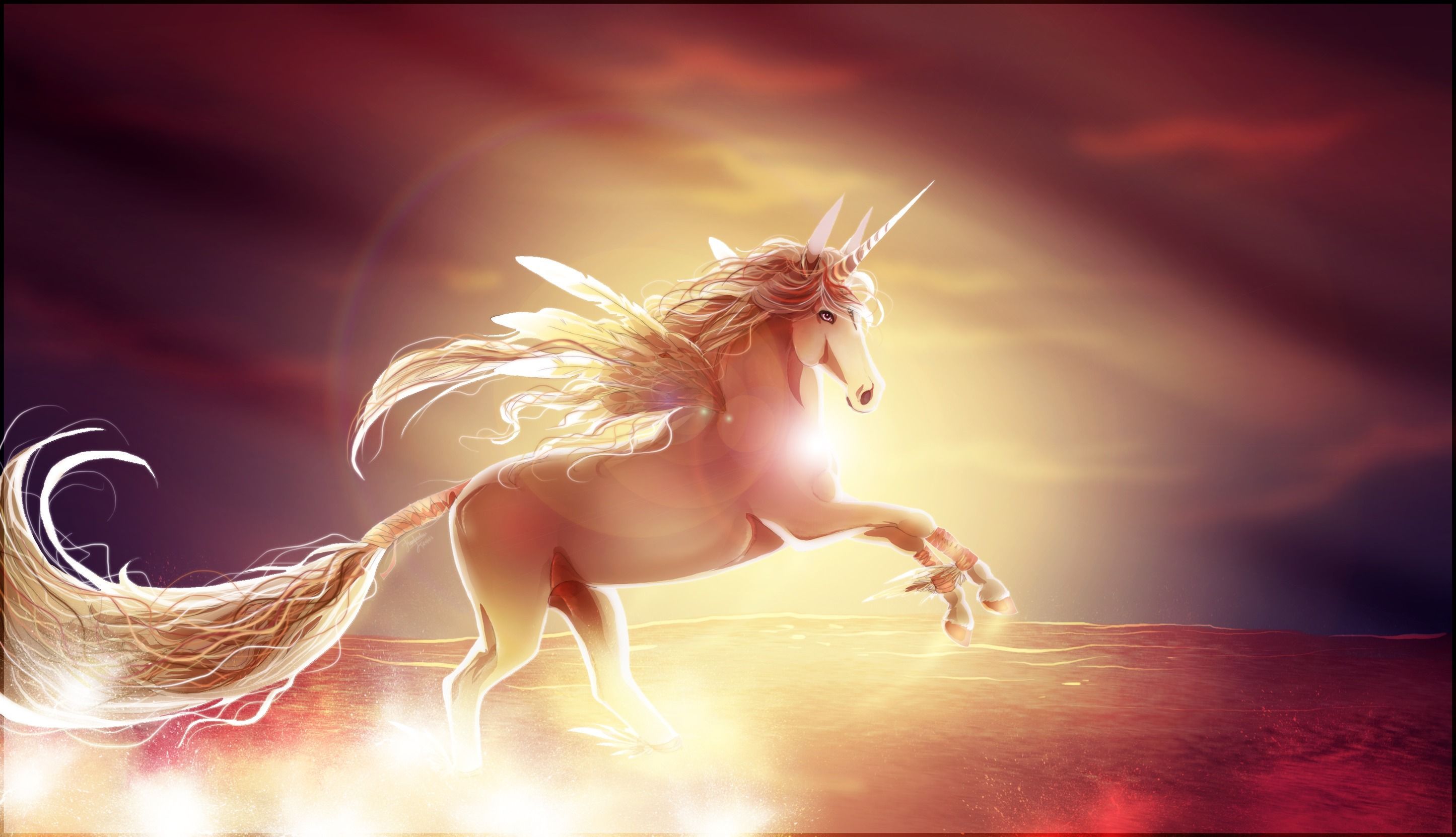2891x1662 Download Fantasy Unicorn HD Wallpaper