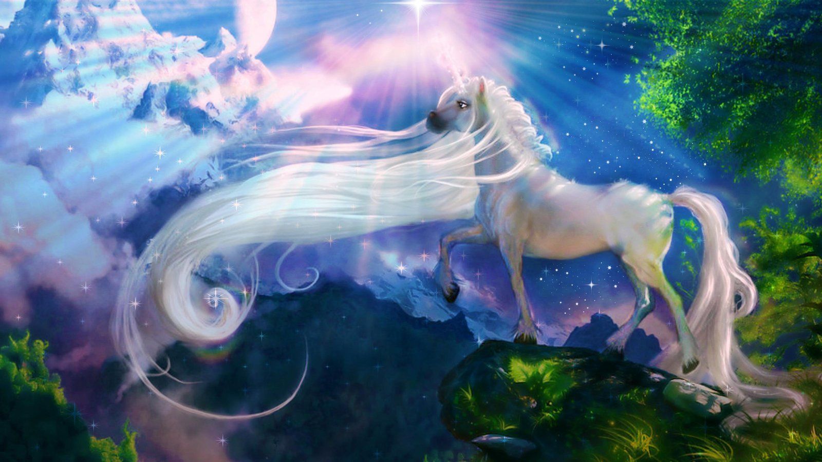 1600x900 White Horse Unicorn Fantasy Art