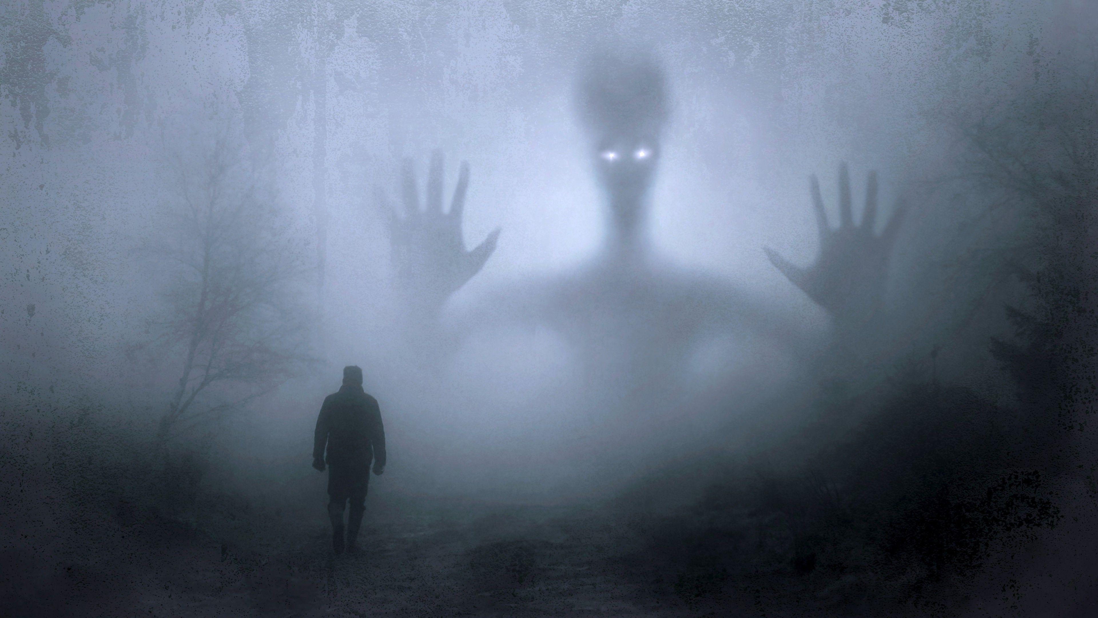 3840x2160 Night Walk Through Haunted Forest, Fog, Spooky Creature