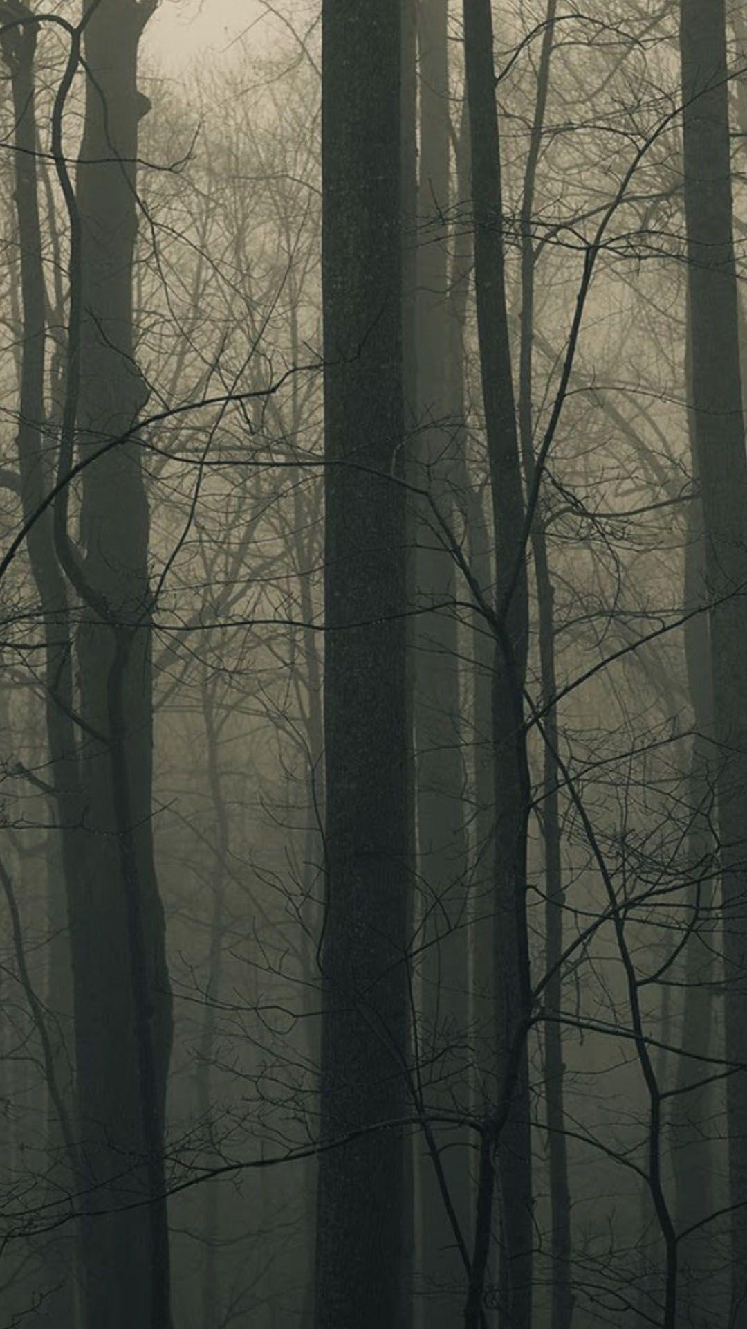 1080x1920 Spooky Forest Trees Mist Android Wallpaper free download