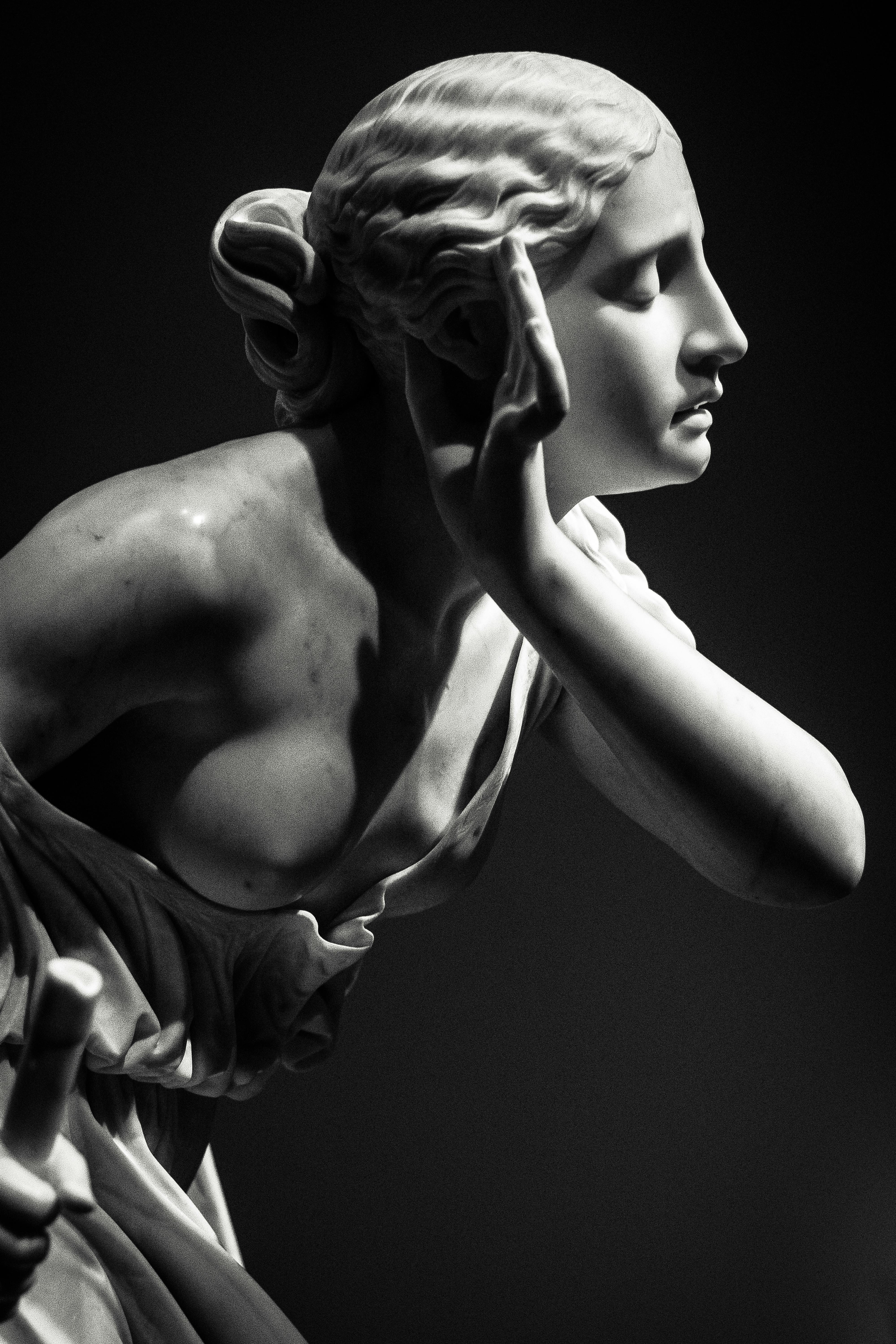 4000x6000 Sculpture Photo, Download The BEST