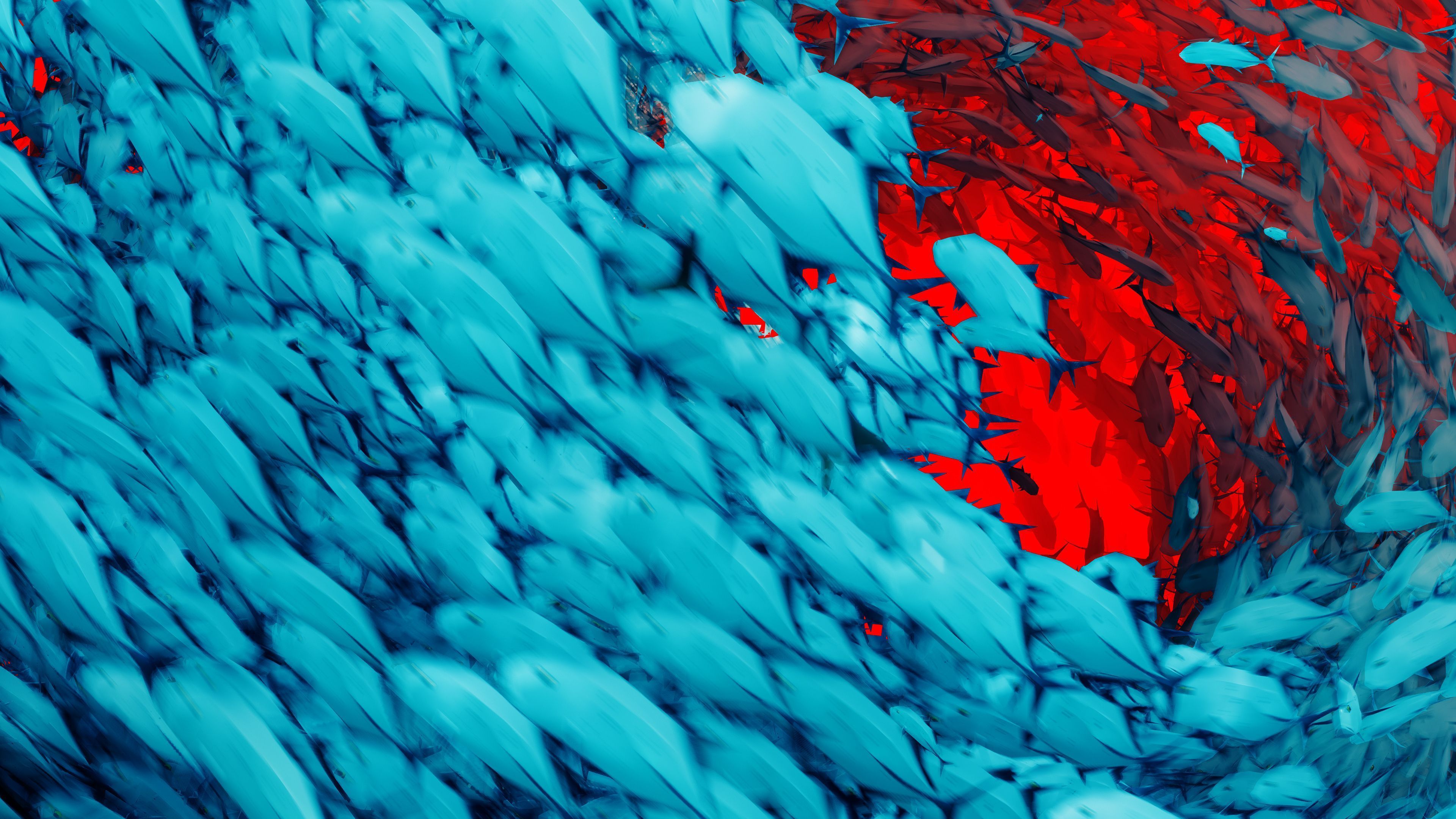 Teal And Red Wallpaper