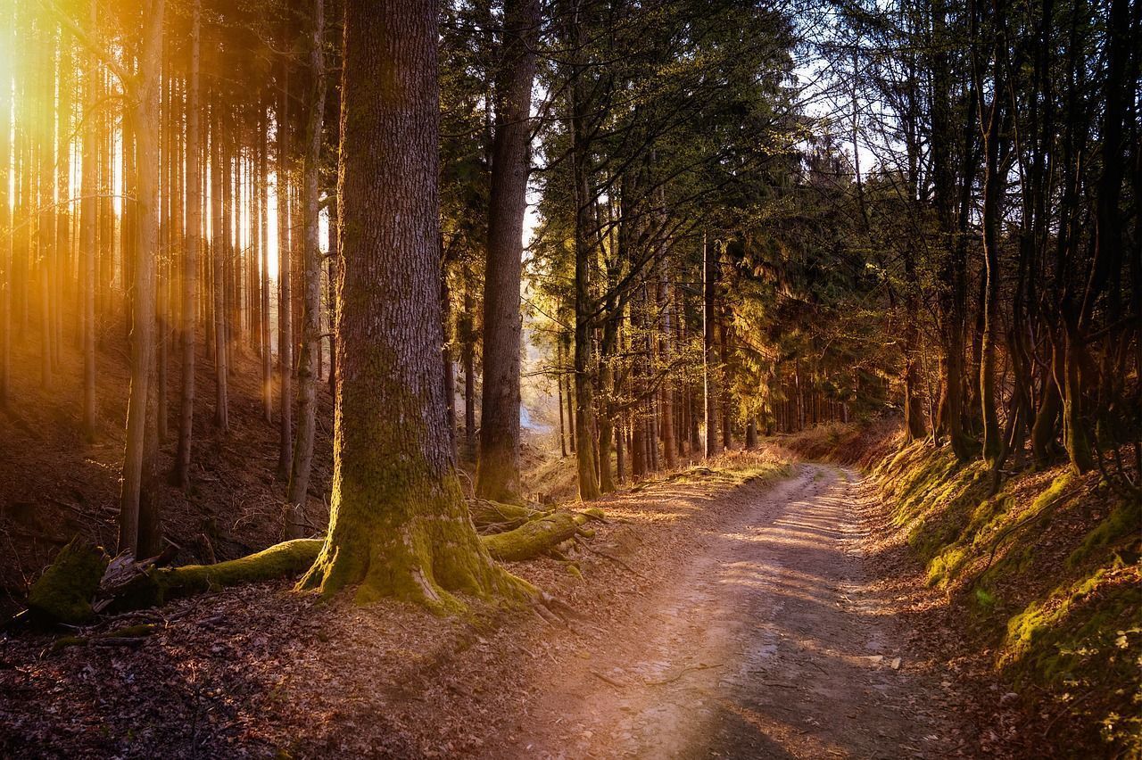 1280x852 Free Warm Landscape & Nature Image