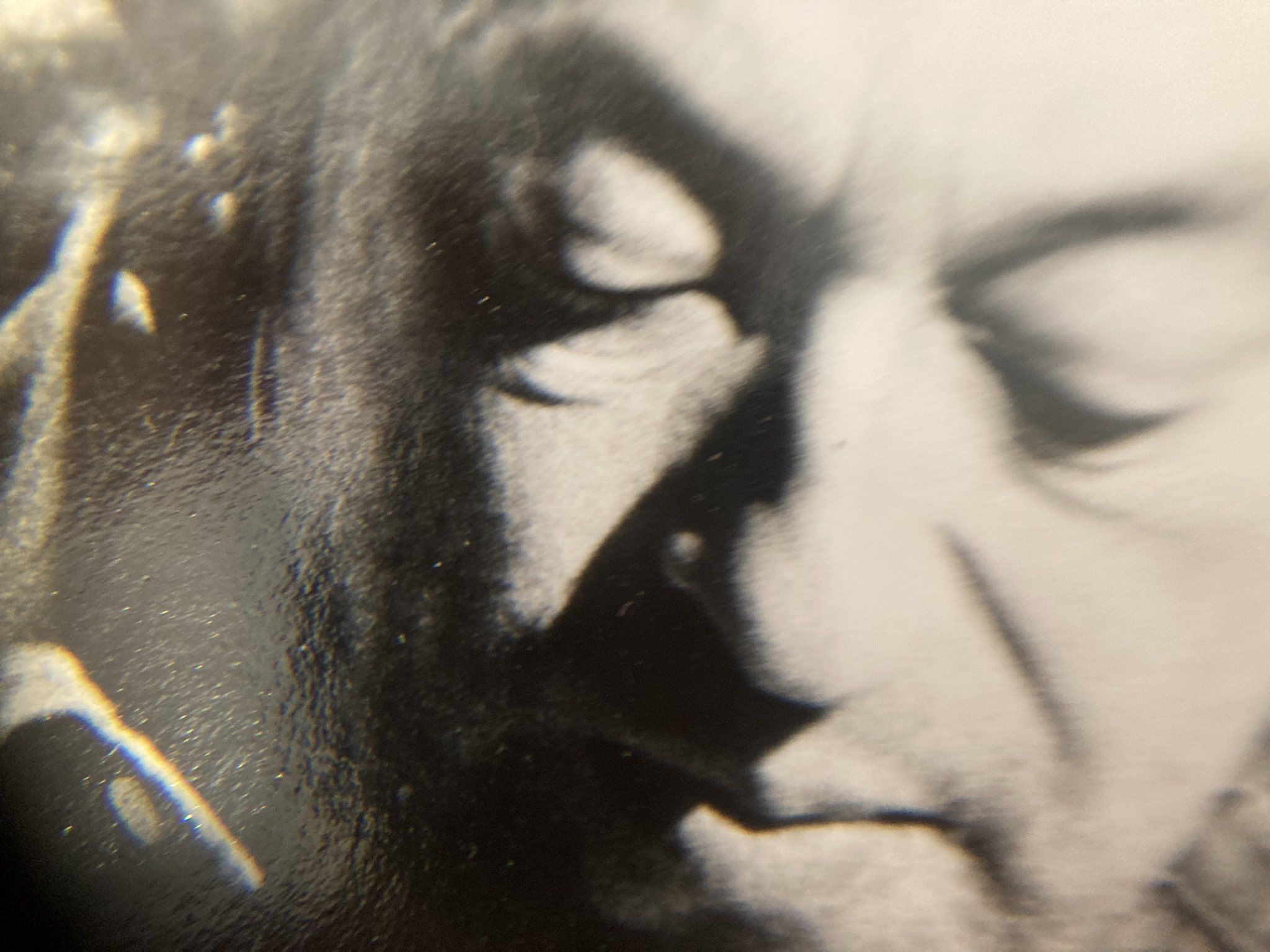 2048x1536 Richard Bellia on X: Serge Gainsbourg