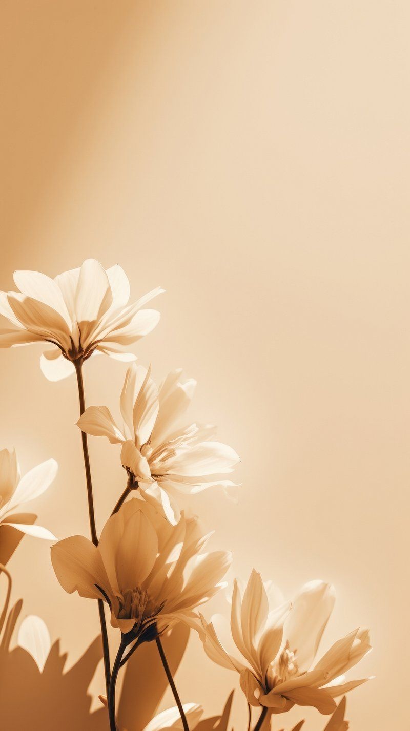 800x1427 iPhone Beige Wallpaper Image. Free