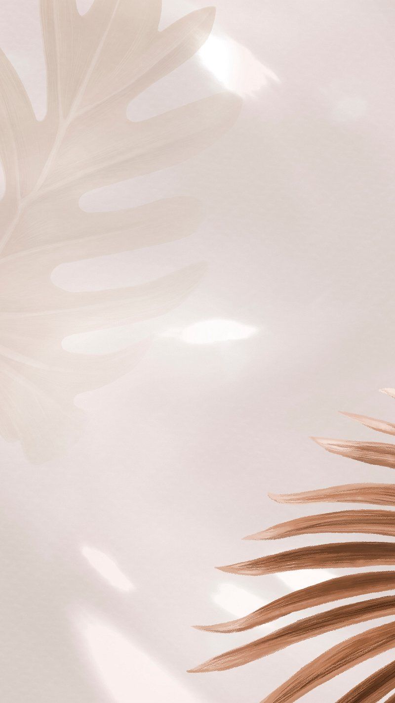 800x1422 Beige Cream Background Aesthetic Image