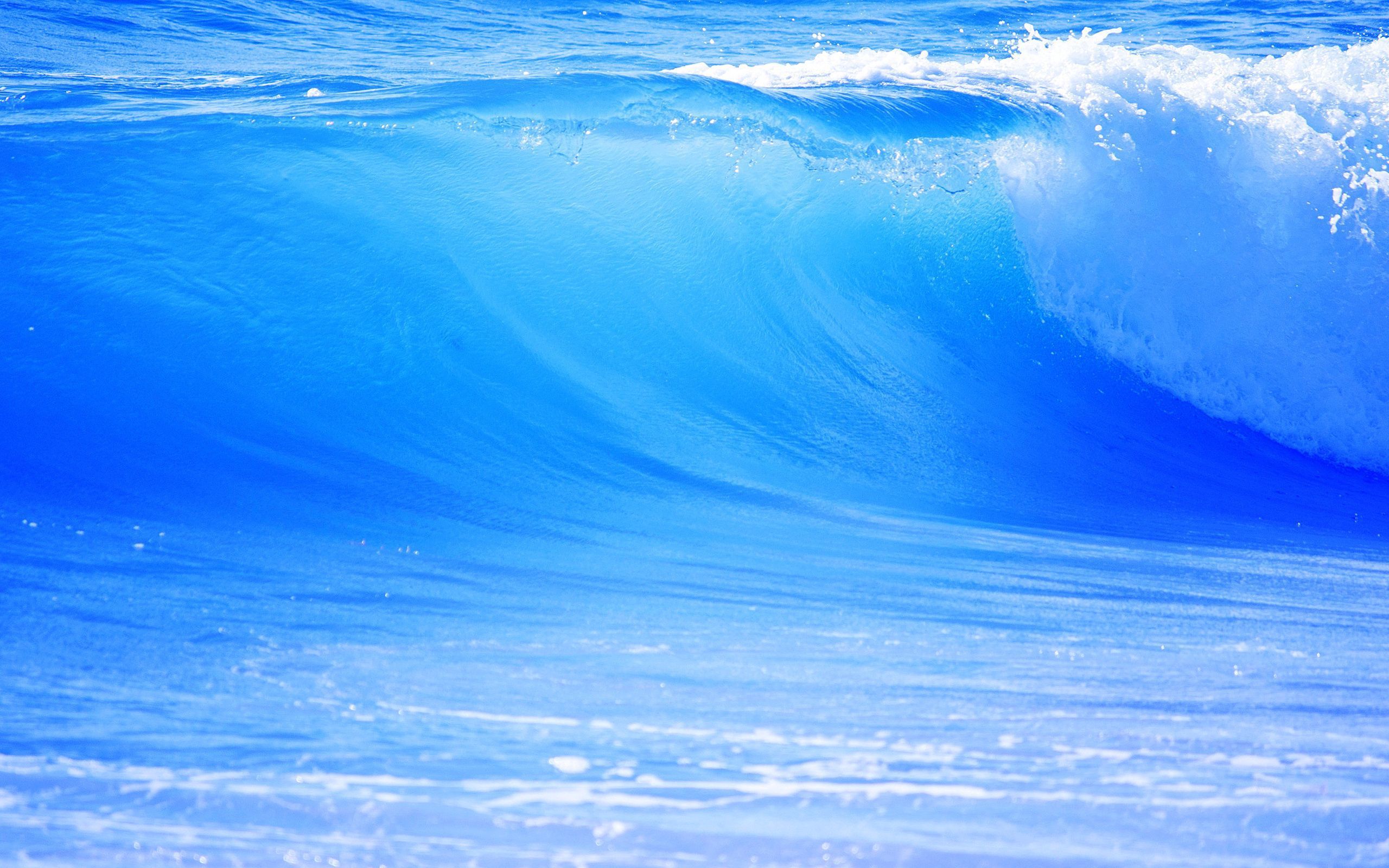 2560x1600 Mobile wallpaper: Big, Wave, Nature