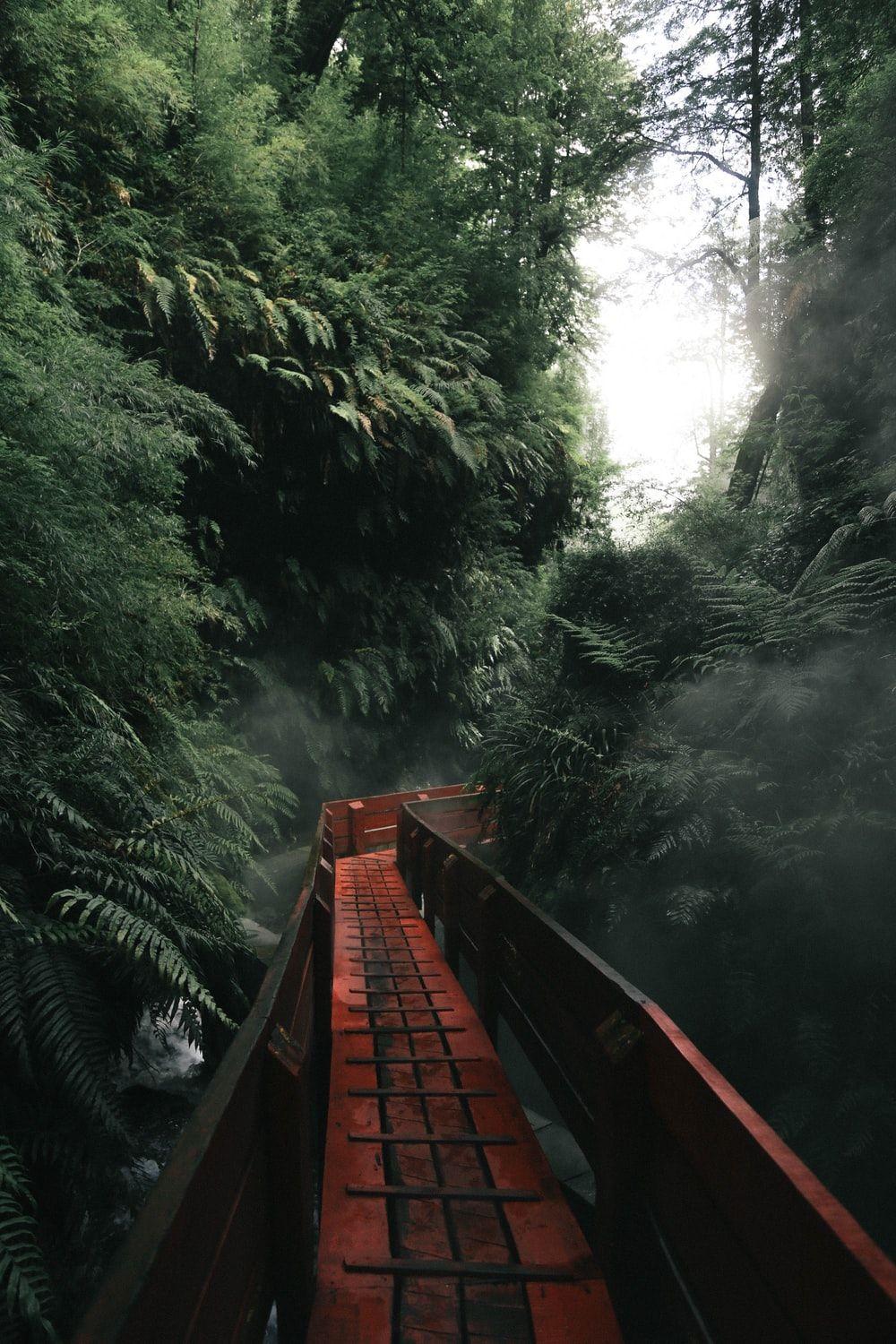 1000x1500 phone wallpaper best free wallpaper, lock screen