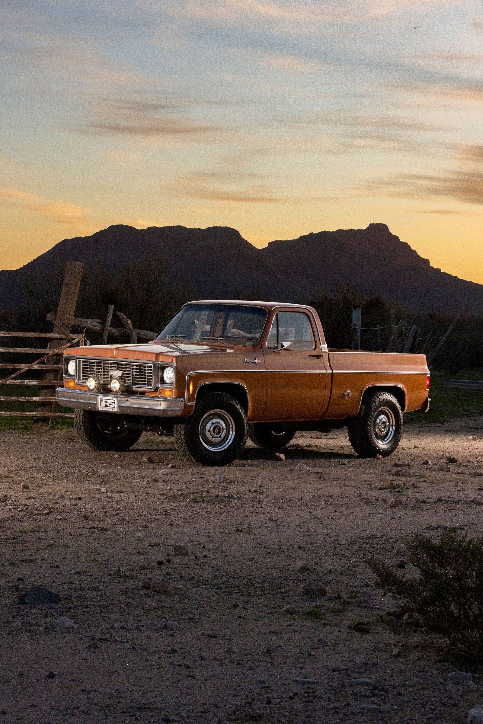 1600x2398 Orange Blossom Special Square Body