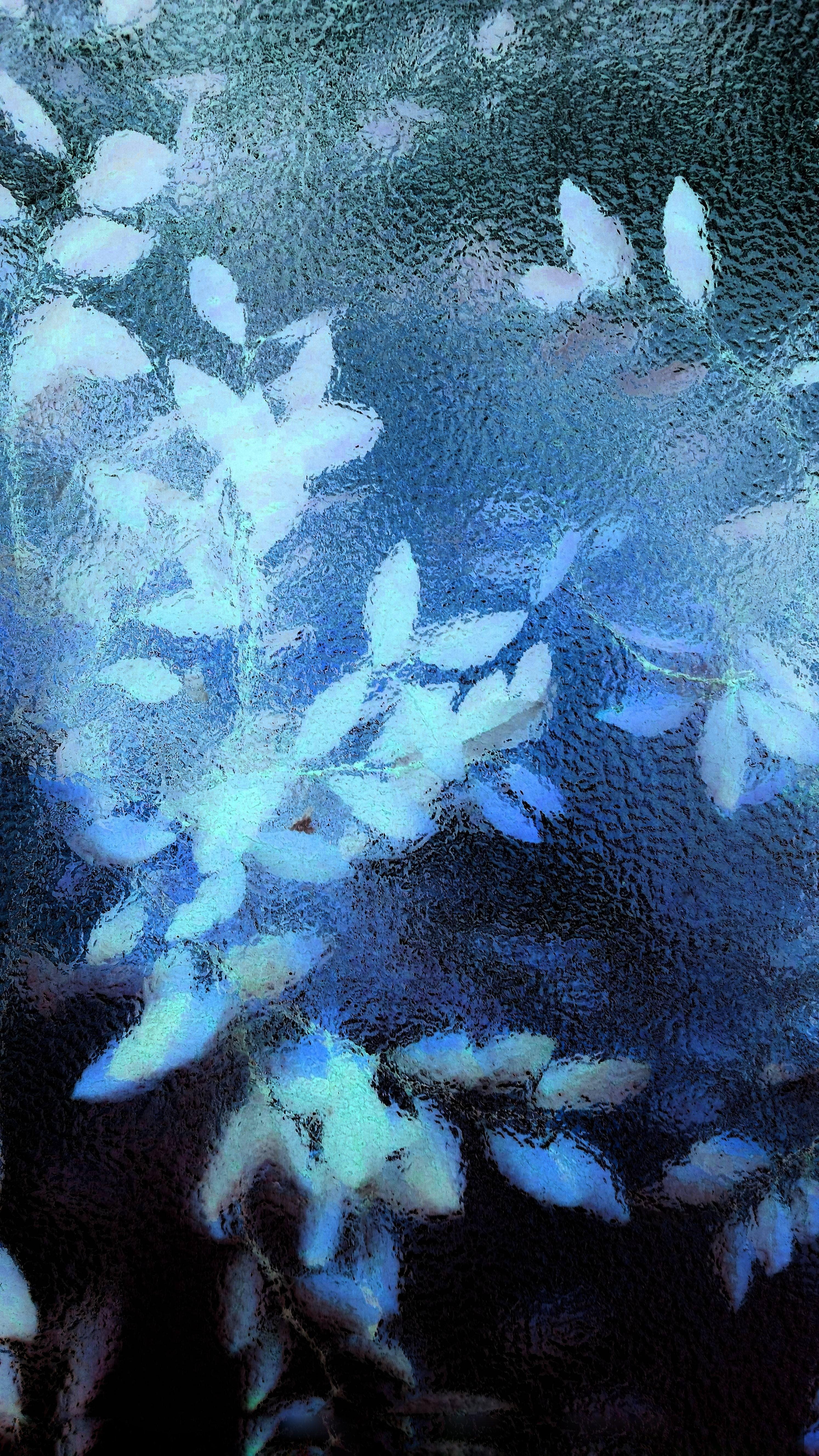 2988x5312 Wallpaper For Phone