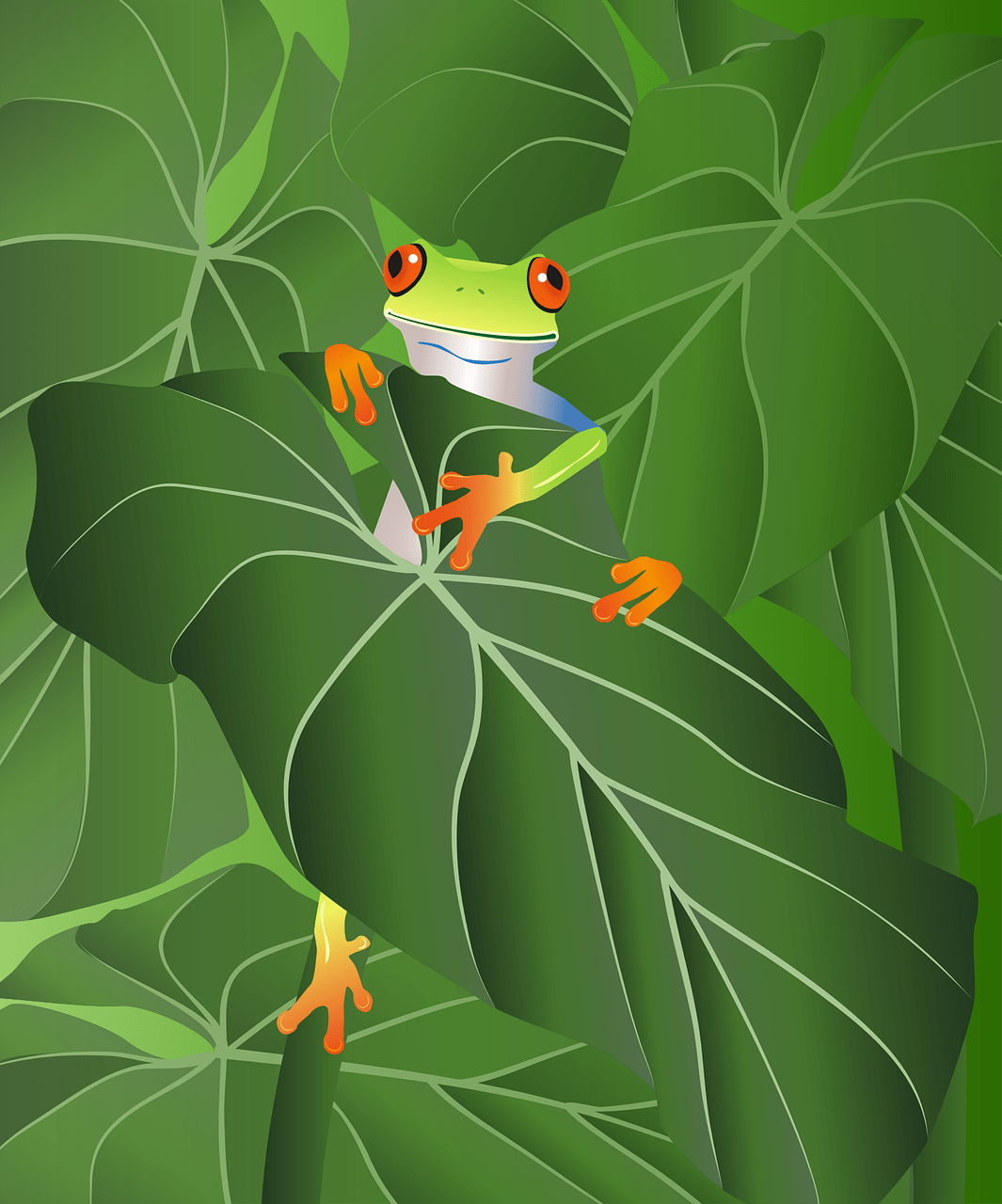 1065x1280 Frosch Wallpaper Und Frosch Bilder