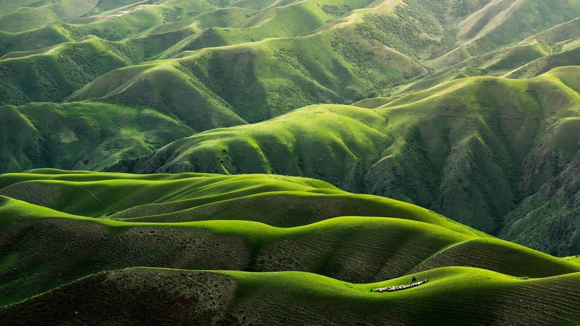 1920x1080 Sustainability at Frosch