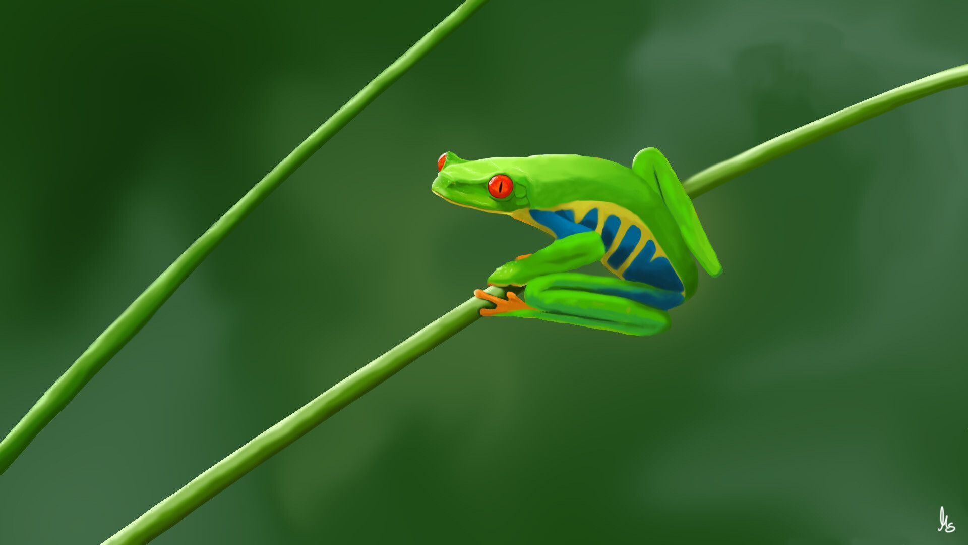1920x1080 Marco Schäfer Eyed Tree Frog