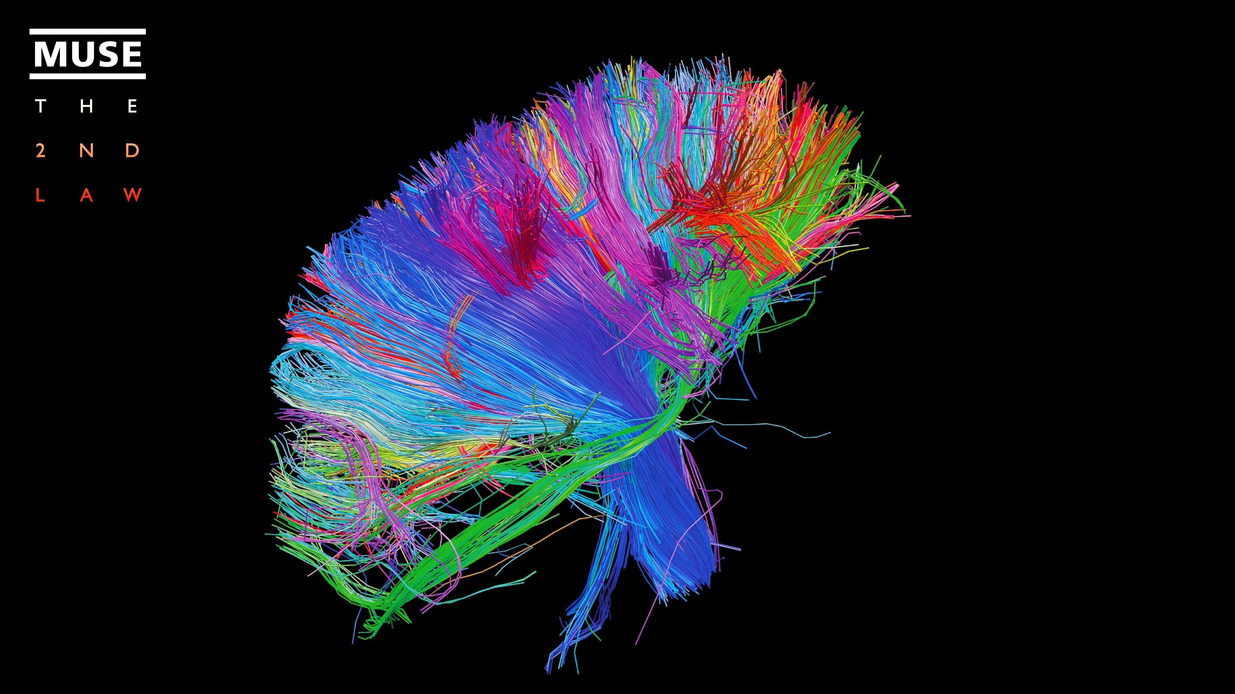 4267x2400 blue and multicolored textile #brain
