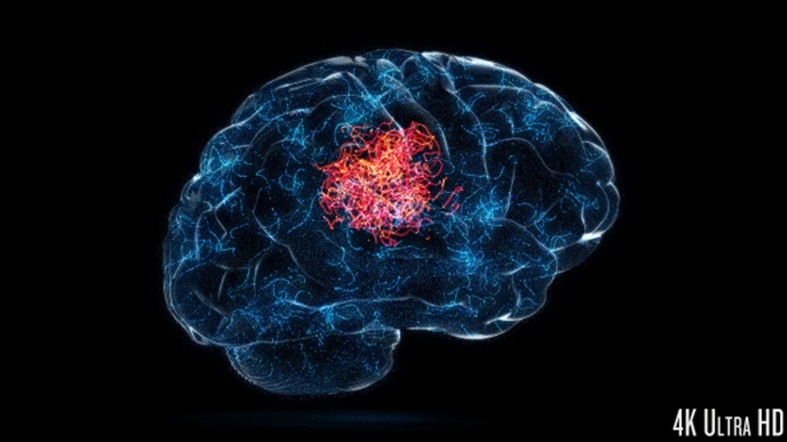 1600x900 4K Brain Isolated Idea or Problem