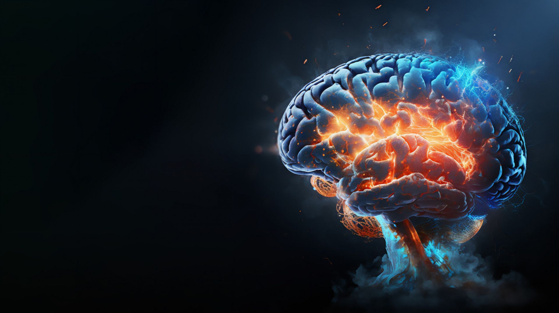 1920x1076 interesting human brain facts