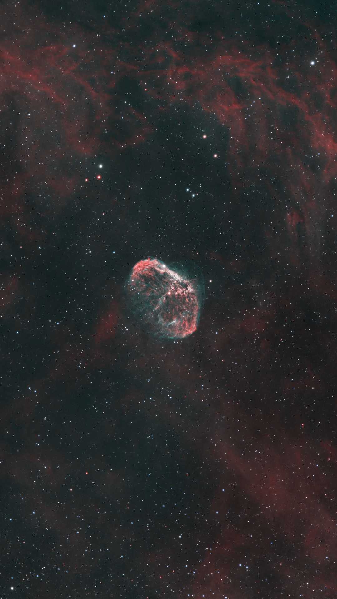 1080x1920 4k Wallpaper Brain