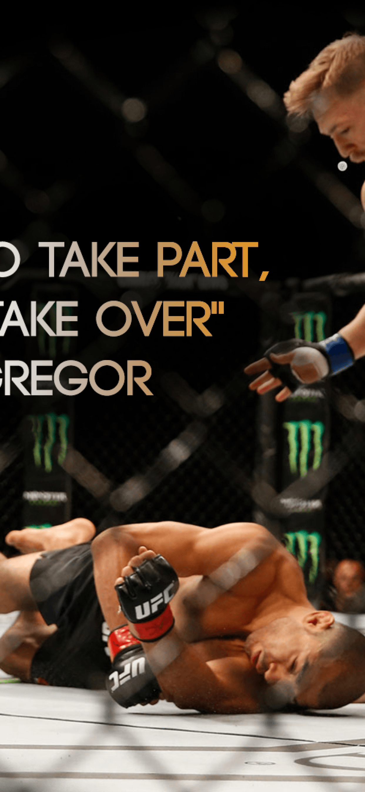 1242x2688 Conor McGregor Phone Wallpaper